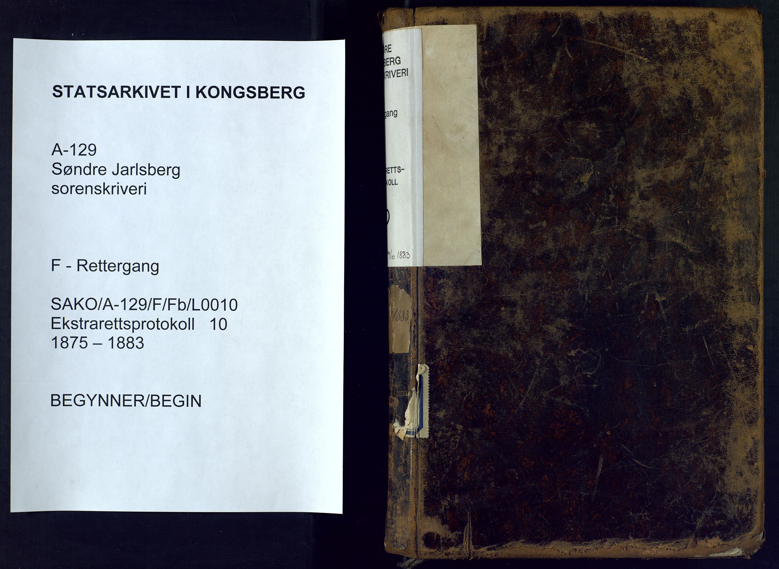 Søndre Jarlsberg sorenskriveri, SAKO/A-129/F/Fb/L0010: Ekstrarettsprotokoll, 1875-1883