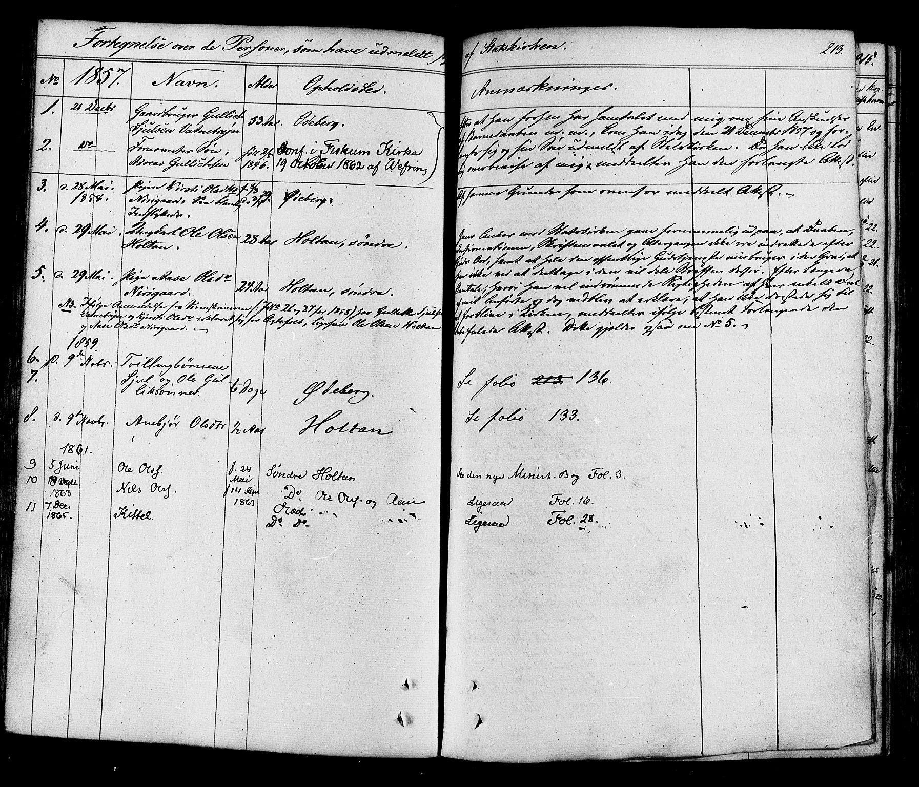 Flesberg kirkebøker, AV/SAKO-A-18/F/Fa/L0006: Ministerialbok nr. I 6, 1834-1860, s. 213