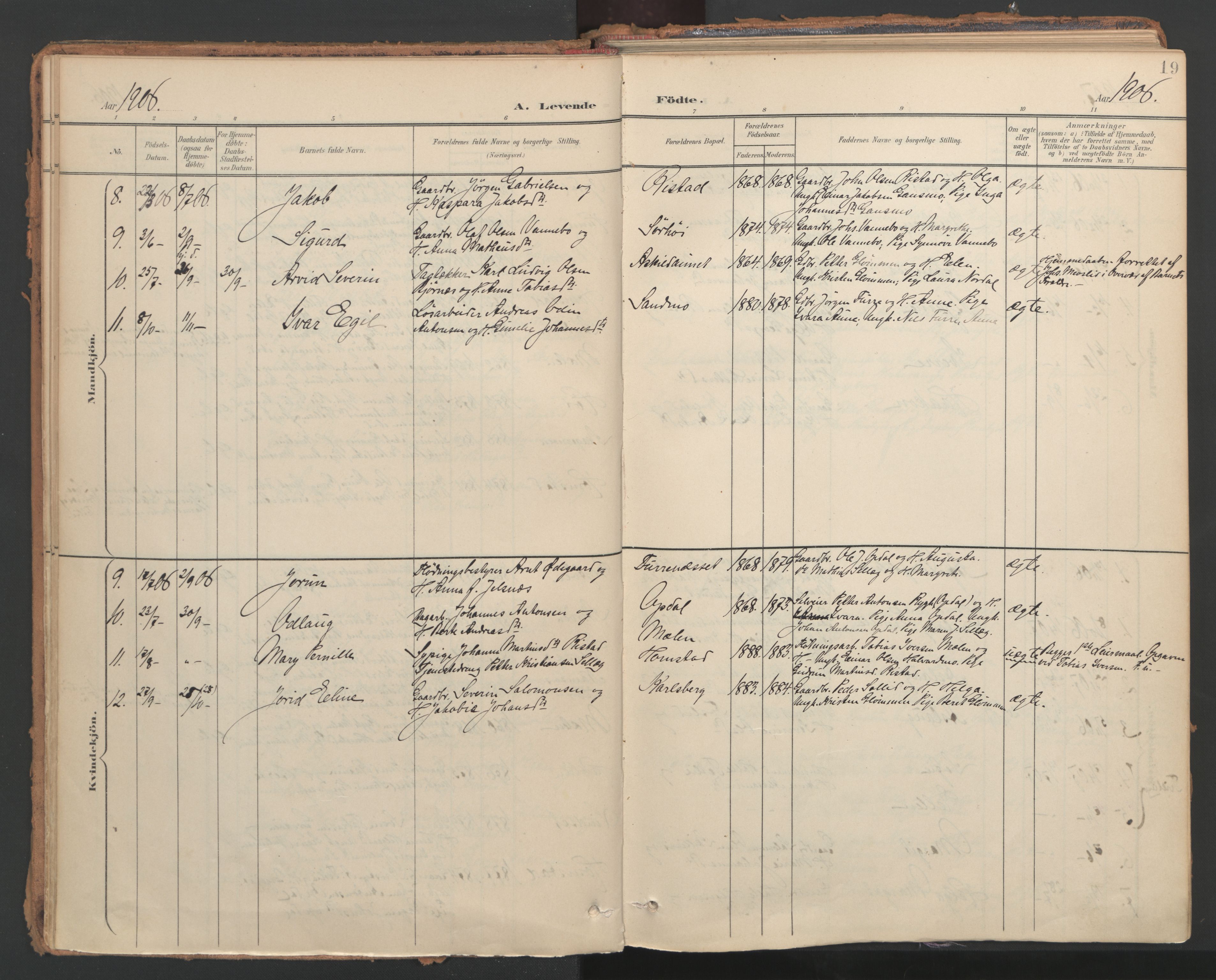 Ministerialprotokoller, klokkerbøker og fødselsregistre - Nord-Trøndelag, AV/SAT-A-1458/766/L0564: Ministerialbok nr. 767A02, 1900-1932, s. 19