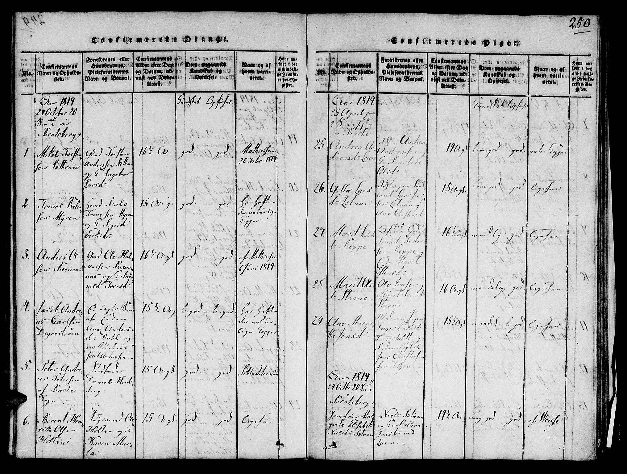 Ministerialprotokoller, klokkerbøker og fødselsregistre - Sør-Trøndelag, AV/SAT-A-1456/606/L0283: Ministerialbok nr. 606A03 /1, 1818-1823, s. 250