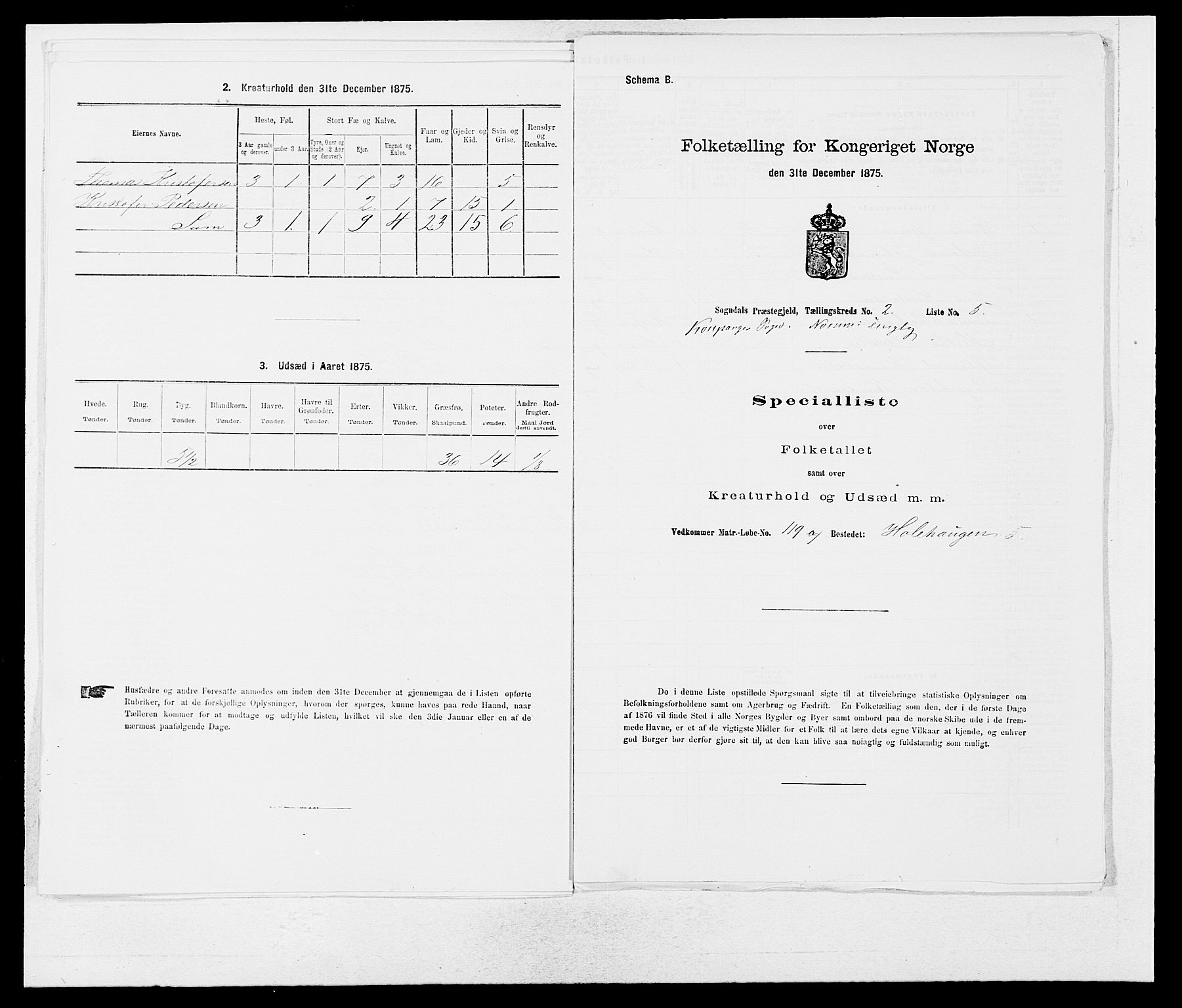 SAB, Folketelling 1875 for 1420P Sogndal prestegjeld, 1875, s. 138