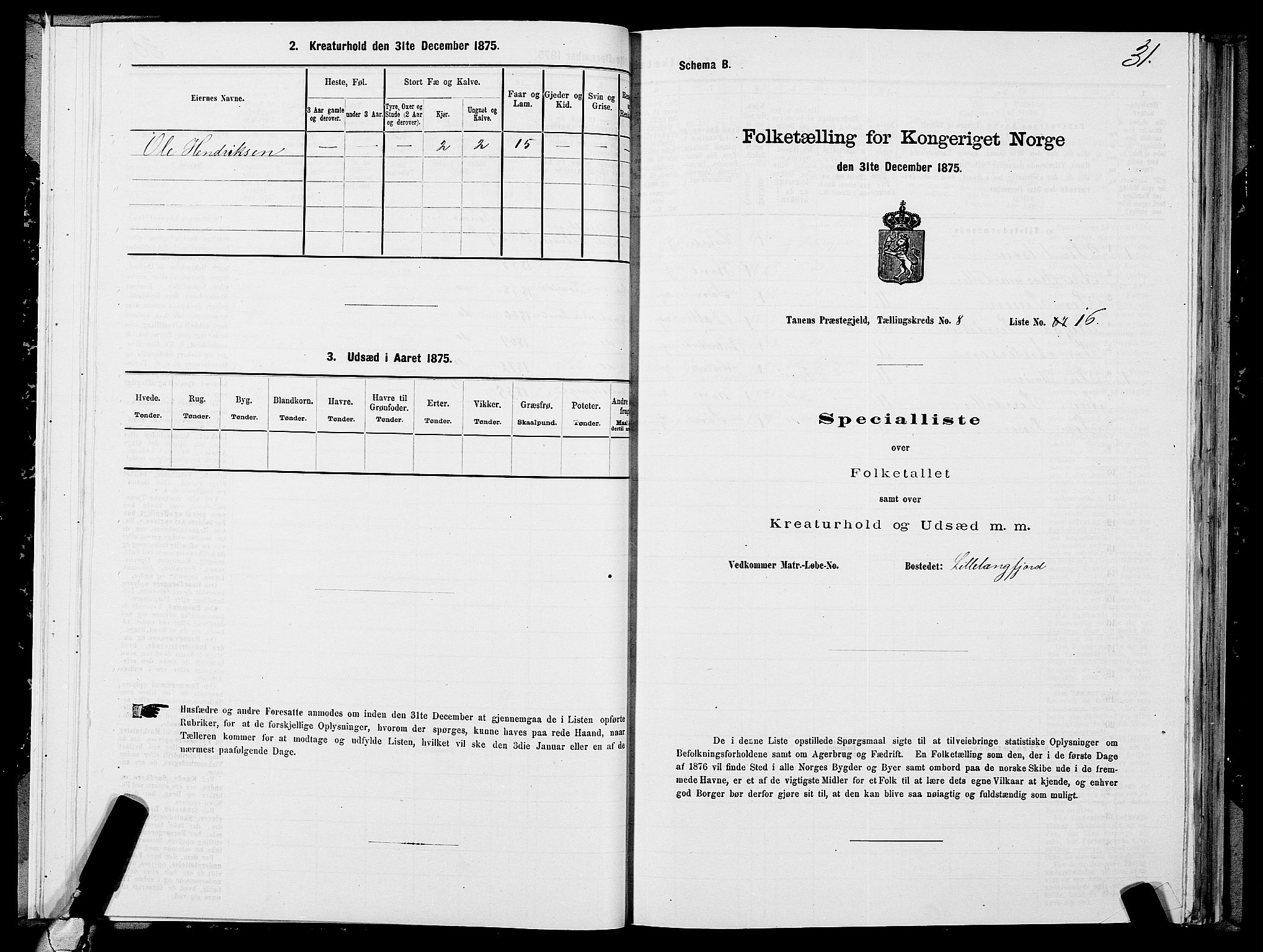 SATØ, Folketelling 1875 for 2025P Tana prestegjeld, 1875, s. 3031