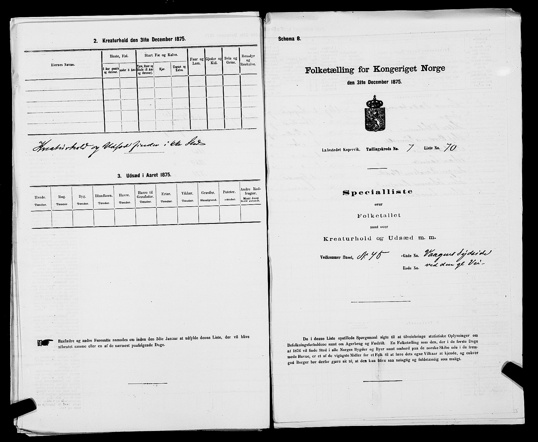 SAST, Folketelling 1875 for 1105B Avaldsnes prestegjeld, Kopervik ladested, 1875, s. 139