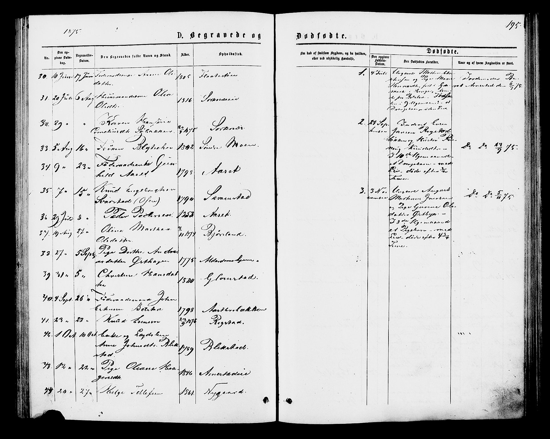 Åmot prestekontor, Hedmark, AV/SAH-PREST-056/H/Ha/Haa/L0009: Ministerialbok nr. 9, 1875-1883, s. 195