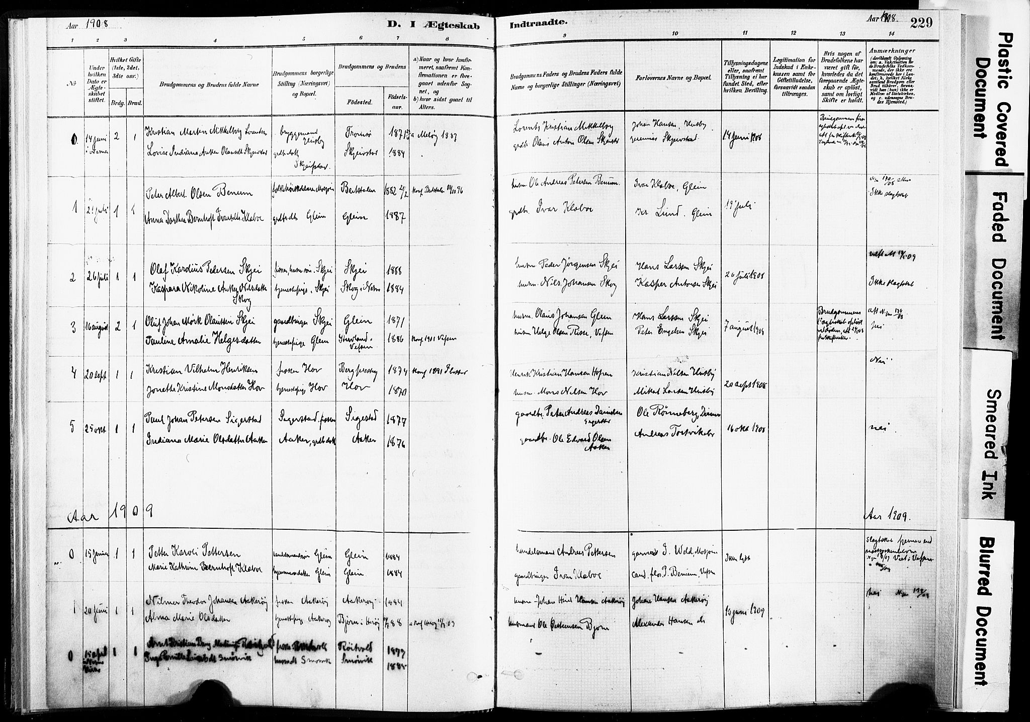 Ministerialprotokoller, klokkerbøker og fødselsregistre - Nordland, AV/SAT-A-1459/835/L0526: Ministerialbok nr. 835A03II, 1881-1910, s. 229