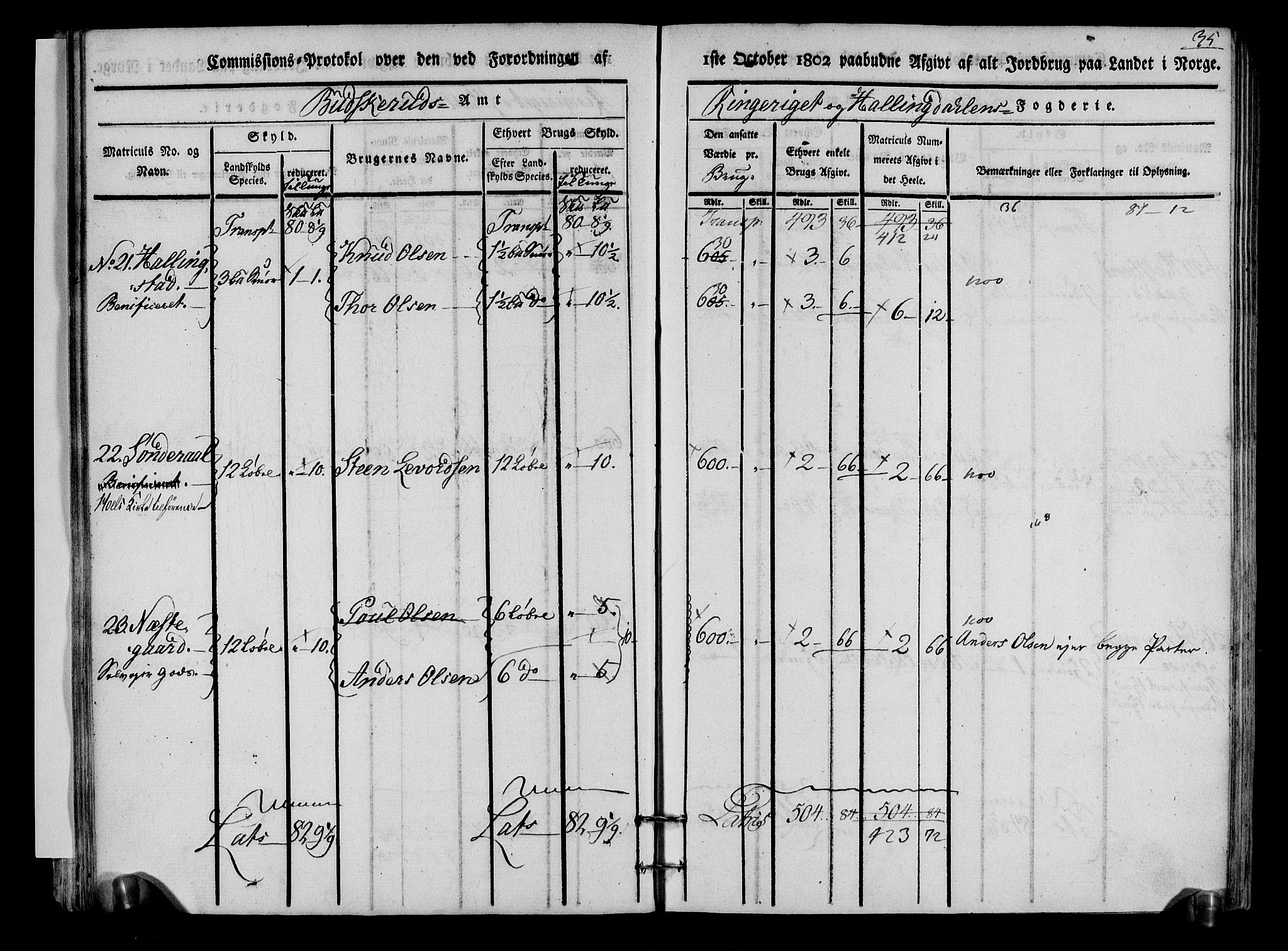 Rentekammeret inntil 1814, Realistisk ordnet avdeling, AV/RA-EA-4070/N/Ne/Nea/L0048: Ringerike og Hallingdal fogderi. Kommisjonsprotokoll for Ål prestegjeld, 1803, s. 38