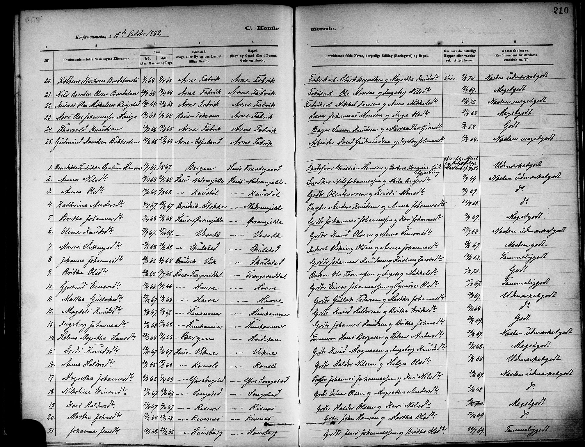 Haus sokneprestembete, AV/SAB-A-75601/H/Haa: Ministerialbok nr. A 19I, 1878-1886, s. 210