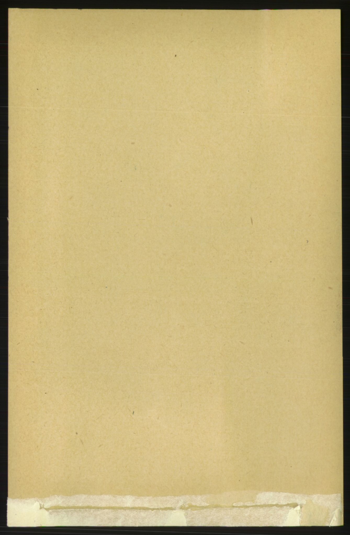 RA, Folketelling 1891 for 1544 Bolsøy herred, 1891, s. 1782
