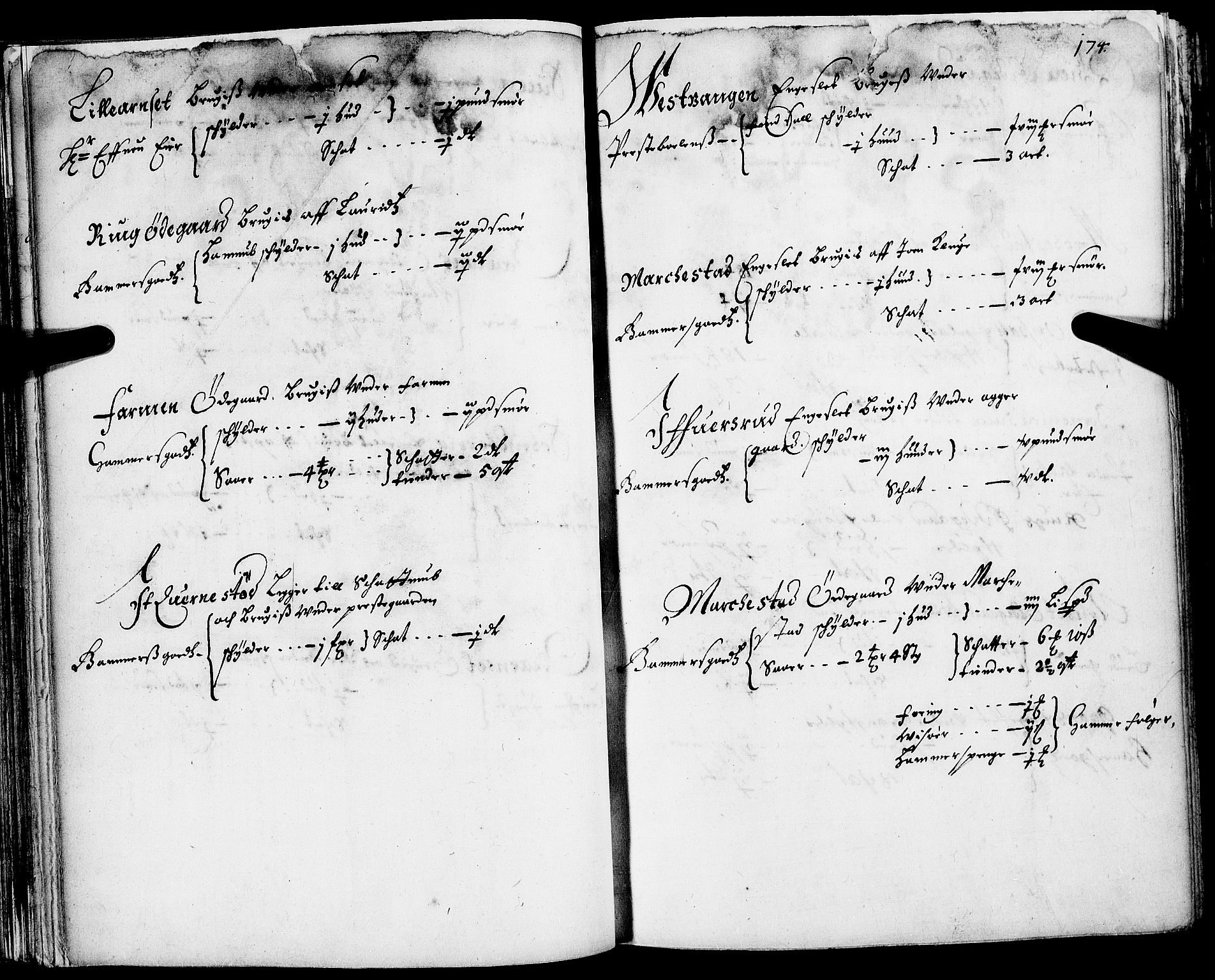 Rentekammeret inntil 1814, Realistisk ordnet avdeling, AV/RA-EA-4070/N/Nb/Nba/L0013: Hedmark fogderi, 2. del, 1669, s. 173b-174a