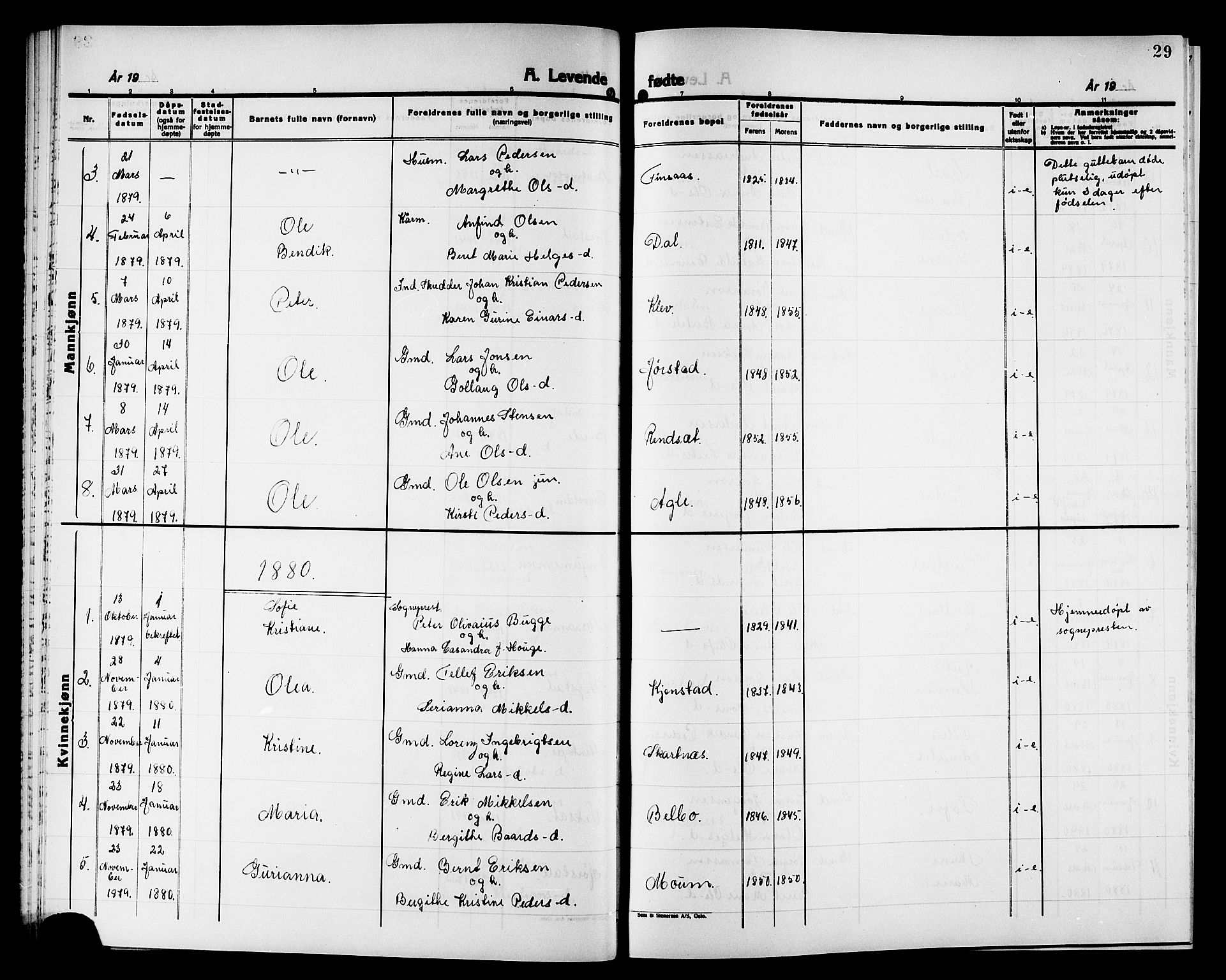 Ministerialprotokoller, klokkerbøker og fødselsregistre - Nord-Trøndelag, SAT/A-1458/749/L0486: Ministerialbok nr. 749D02, 1873-1887, s. 29