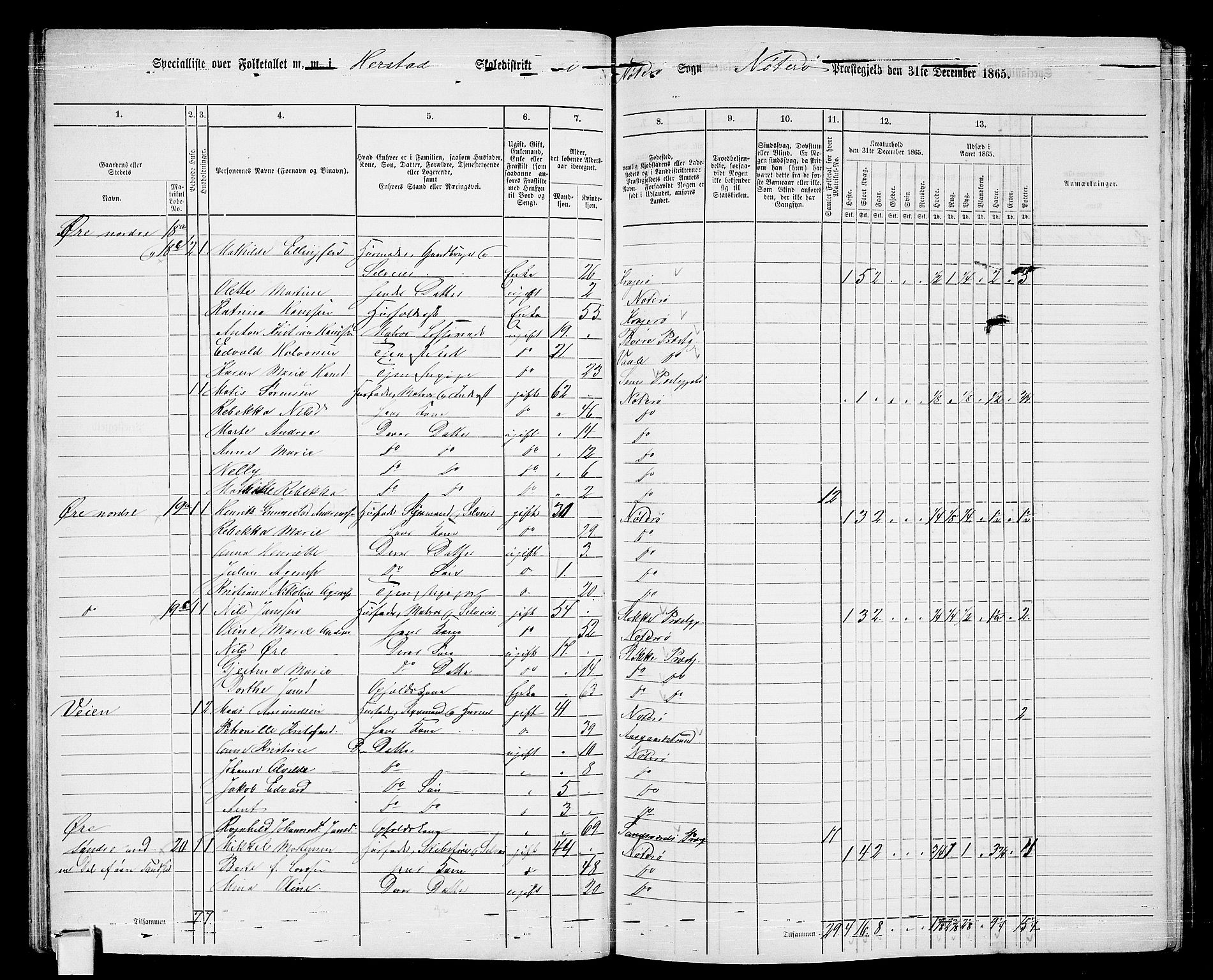 RA, Folketelling 1865 for 0722P Nøtterøy prestegjeld, 1865, s. 53