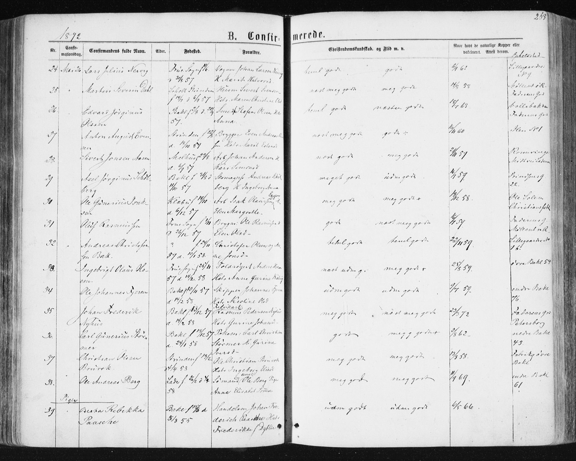 Ministerialprotokoller, klokkerbøker og fødselsregistre - Sør-Trøndelag, SAT/A-1456/604/L0186: Ministerialbok nr. 604A07, 1866-1877, s. 263