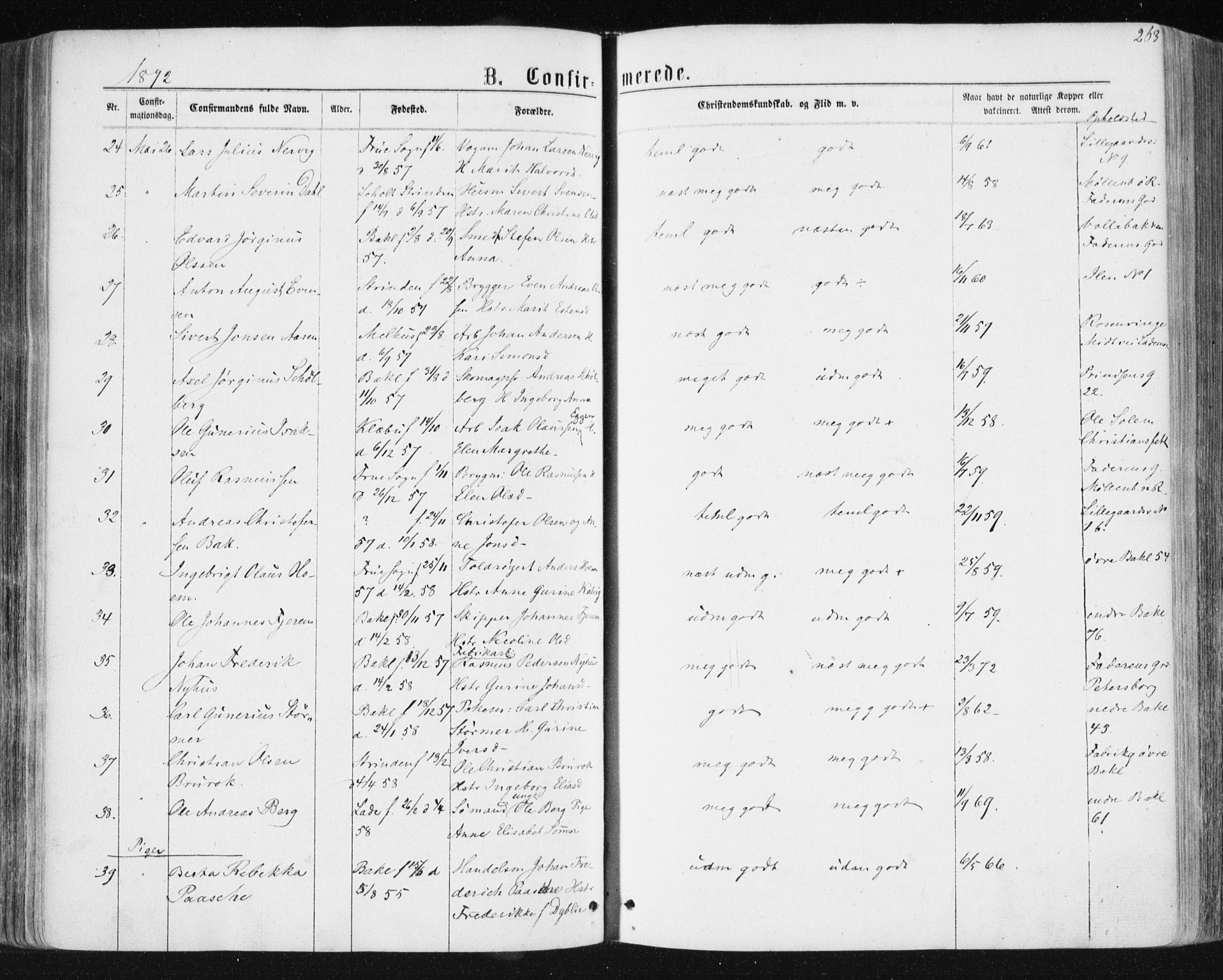 Ministerialprotokoller, klokkerbøker og fødselsregistre - Sør-Trøndelag, AV/SAT-A-1456/604/L0186: Ministerialbok nr. 604A07, 1866-1877, s. 263