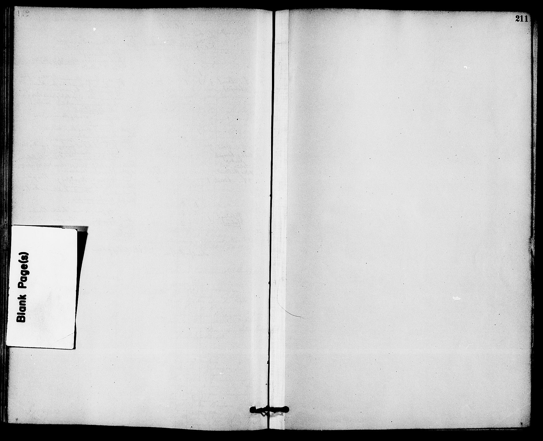 Solum kirkebøker, SAKO/A-306/F/Fb/L0001: Ministerialbok nr. II 1, 1877-1892, s. 211