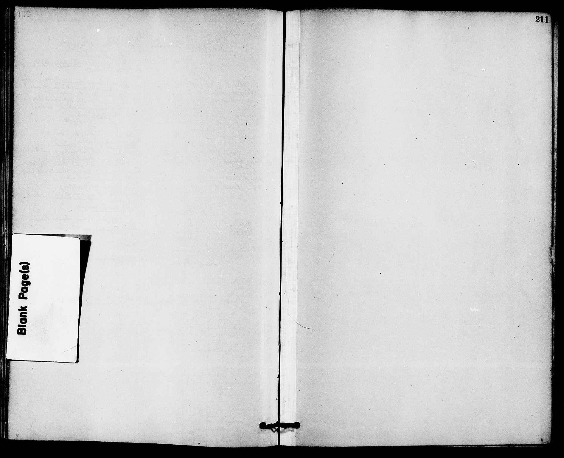 Solum kirkebøker, AV/SAKO-A-306/F/Fb/L0001: Ministerialbok nr. II 1, 1877-1892, s. 211