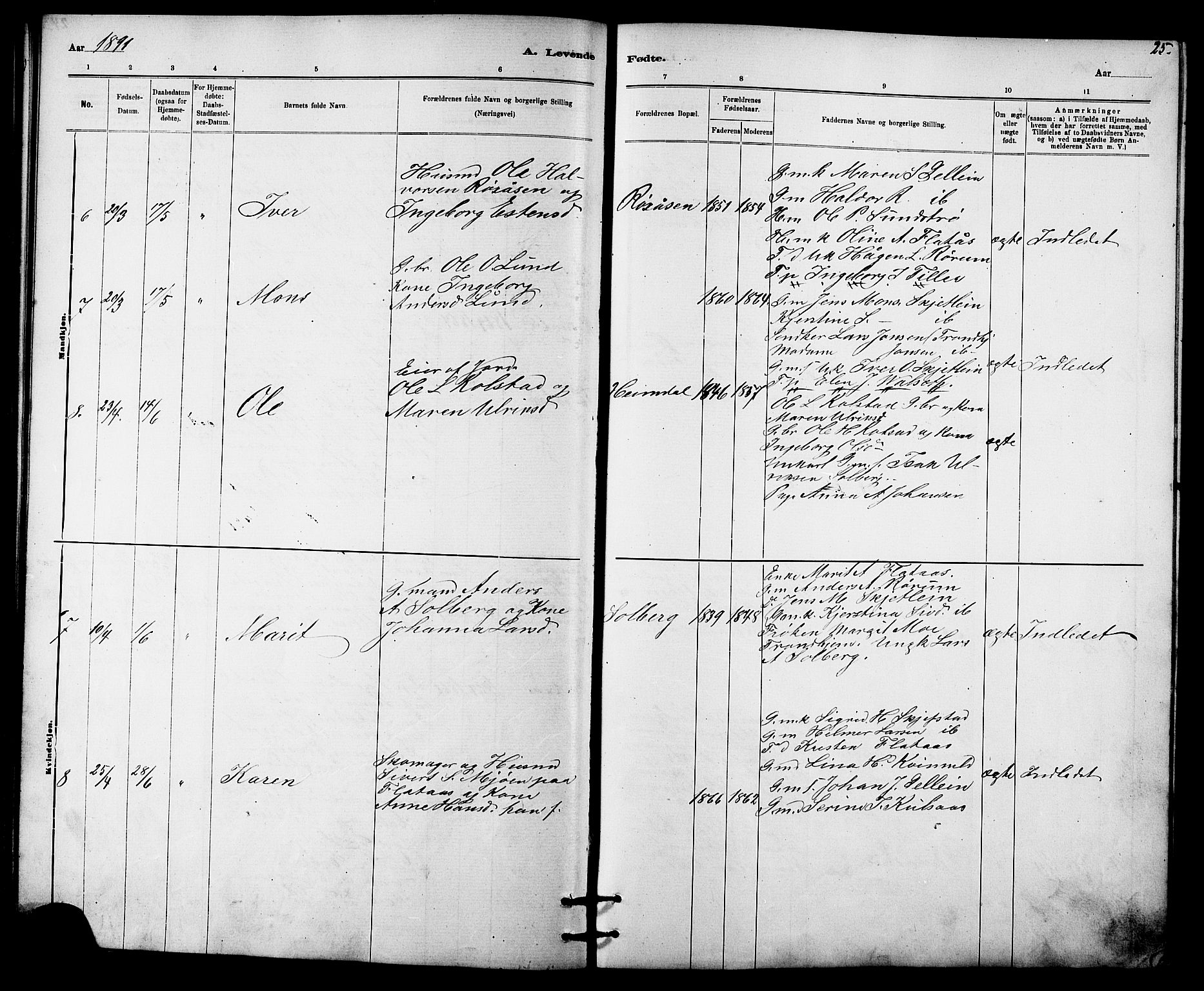 Ministerialprotokoller, klokkerbøker og fødselsregistre - Sør-Trøndelag, AV/SAT-A-1456/613/L0395: Klokkerbok nr. 613C03, 1887-1909, s. 25