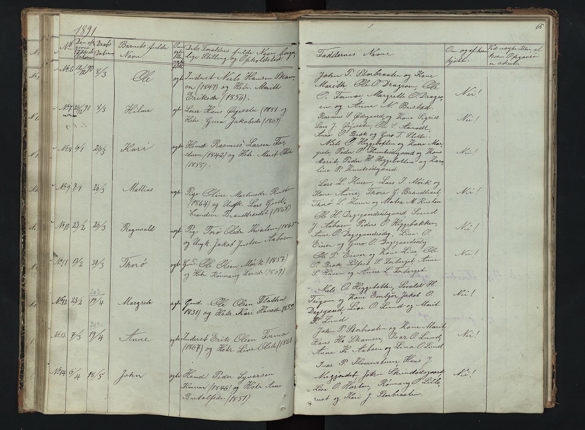 Skjåk prestekontor, AV/SAH-PREST-072/H/Ha/Hab/L0002: Klokkerbok nr. 2, 1867-1894, s. 65