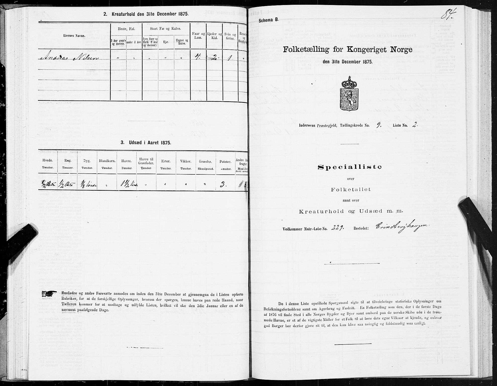 SAT, Folketelling 1875 for 1729P Inderøy prestegjeld, 1875, s. 5084