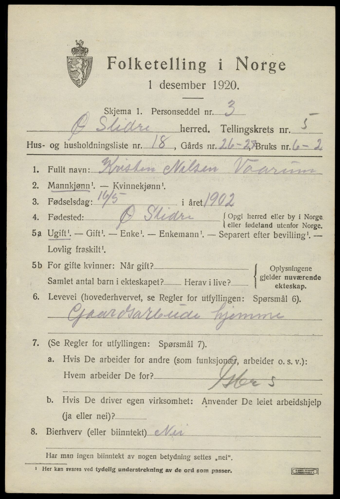 SAH, Folketelling 1920 for 0544 Øystre Slidre herred, 1920, s. 3051