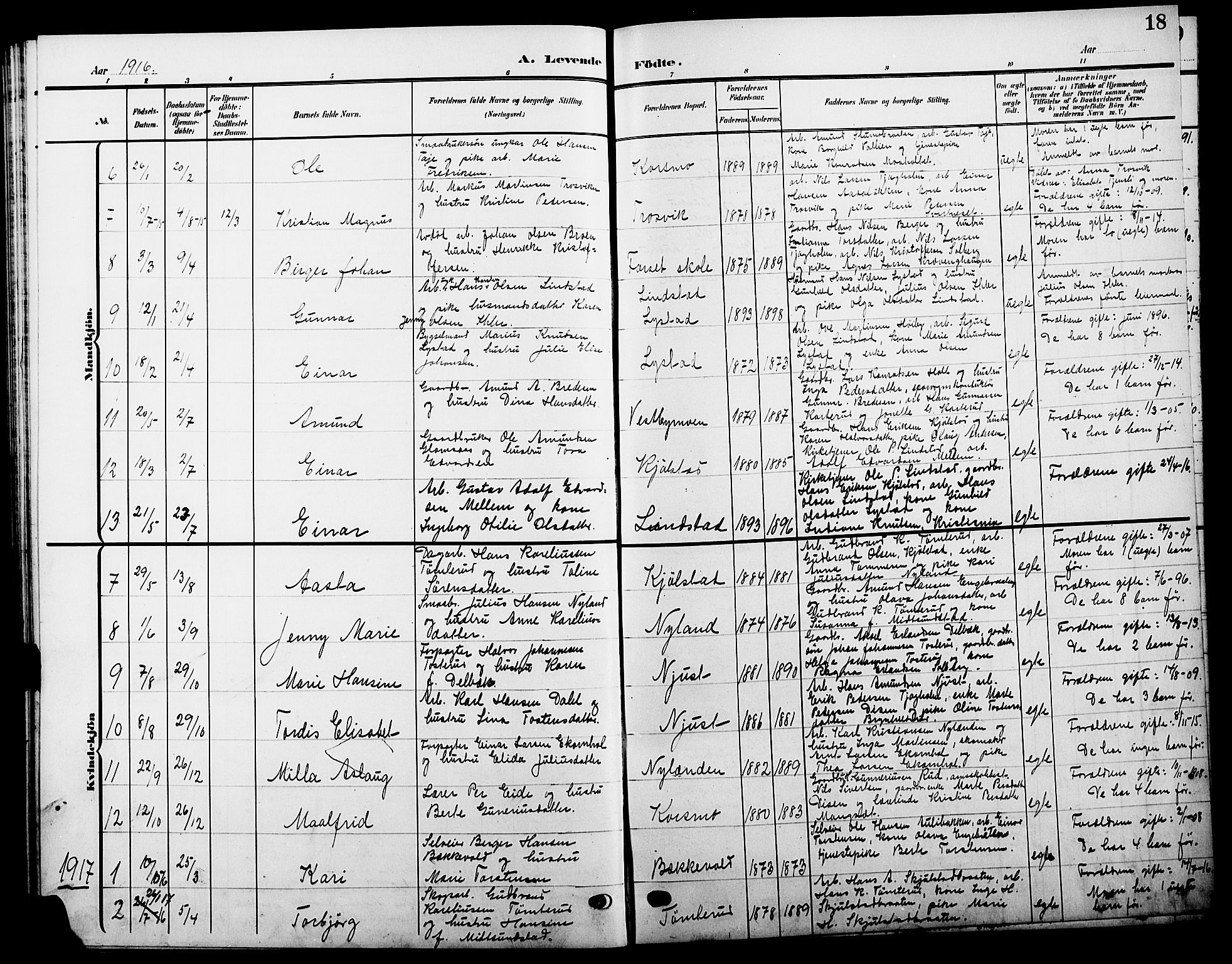 Sør-Odal prestekontor, AV/SAH-PREST-030/H/Ha/Hab/L0006: Klokkerbok nr. 6, 1906-1919, s. 18