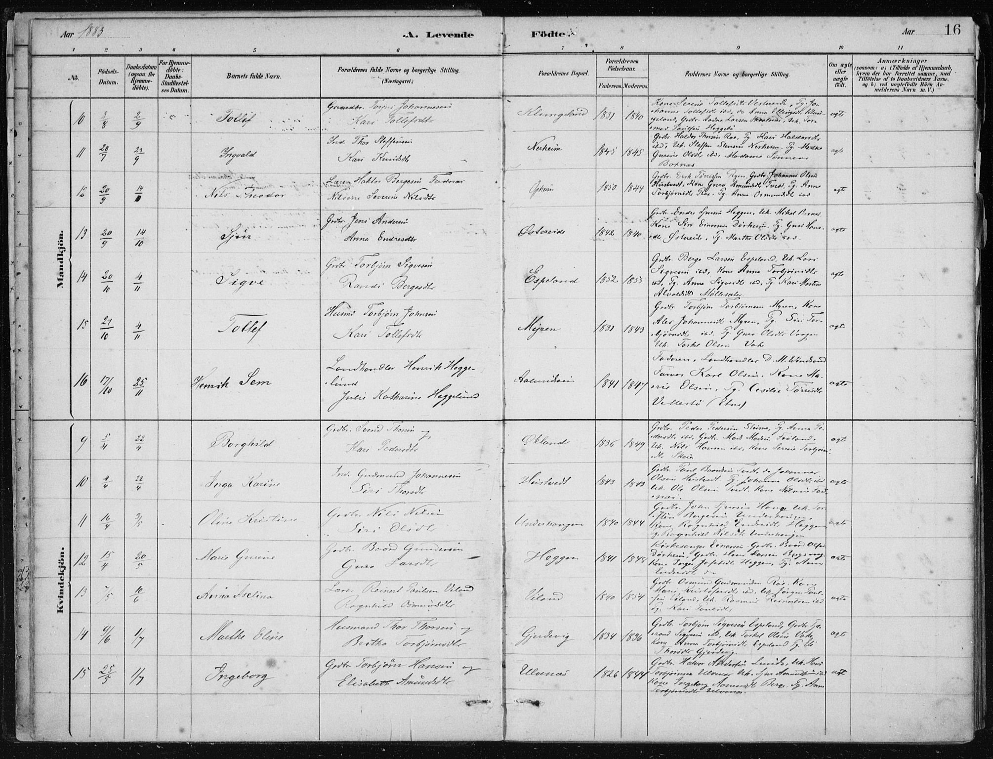 Fjelberg sokneprestembete, AV/SAB-A-75201/H/Haa: Ministerialbok nr. D 1, 1879-1918, s. 16