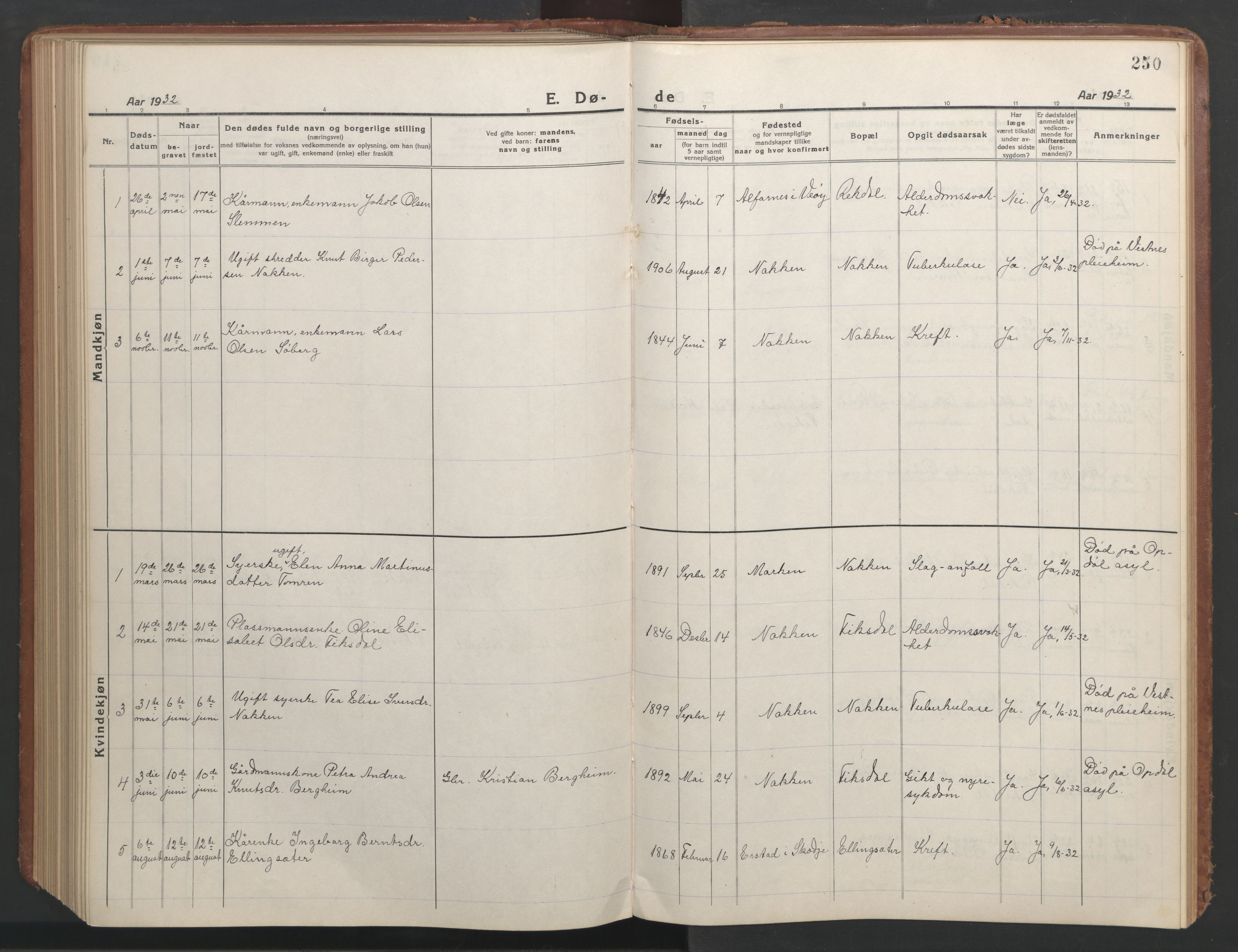 Ministerialprotokoller, klokkerbøker og fødselsregistre - Møre og Romsdal, AV/SAT-A-1454/540/L0542: Klokkerbok nr. 540C02, 1921-1967, s. 250