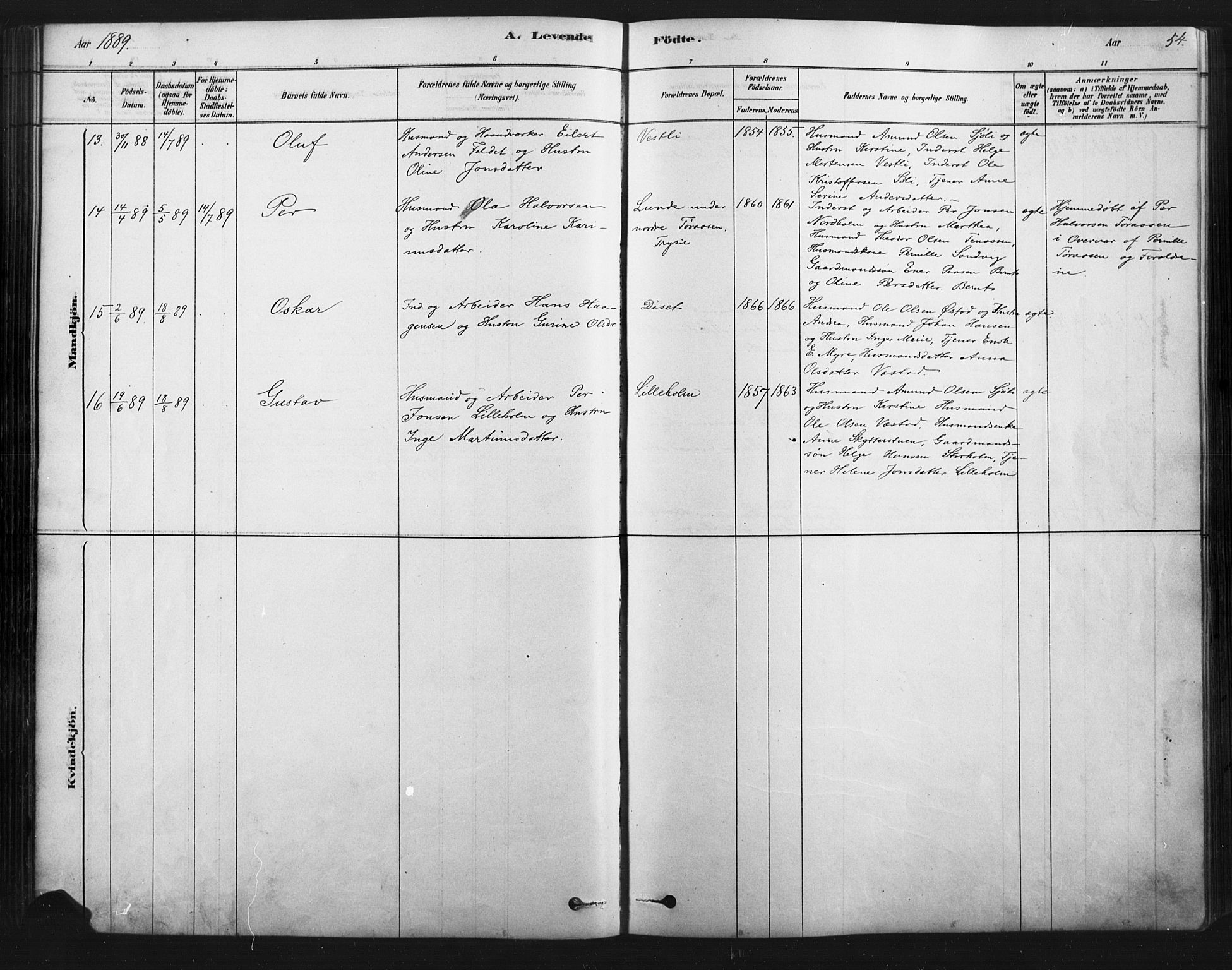 Åmot prestekontor, Hedmark, AV/SAH-PREST-056/H/Ha/Haa/L0012: Ministerialbok nr. 12, 1878-1901, s. 54