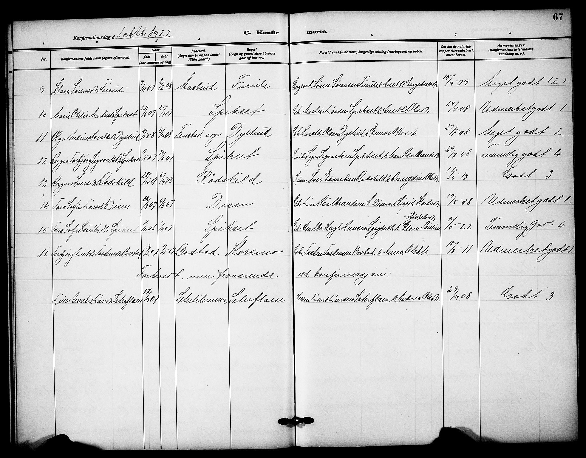 Sør-Odal prestekontor, AV/SAH-PREST-030/H/Ha/Hab/L0009: Klokkerbok nr. 9, 1915-1927, s. 67