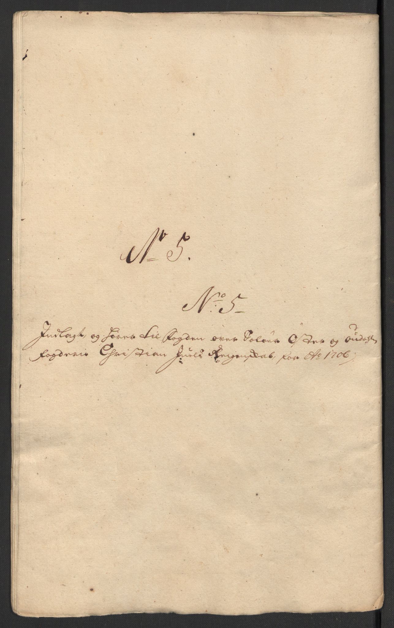 Rentekammeret inntil 1814, Reviderte regnskaper, Fogderegnskap, RA/EA-4092/R13/L0843: Fogderegnskap Solør, Odal og Østerdal, 1705-1706, s. 393