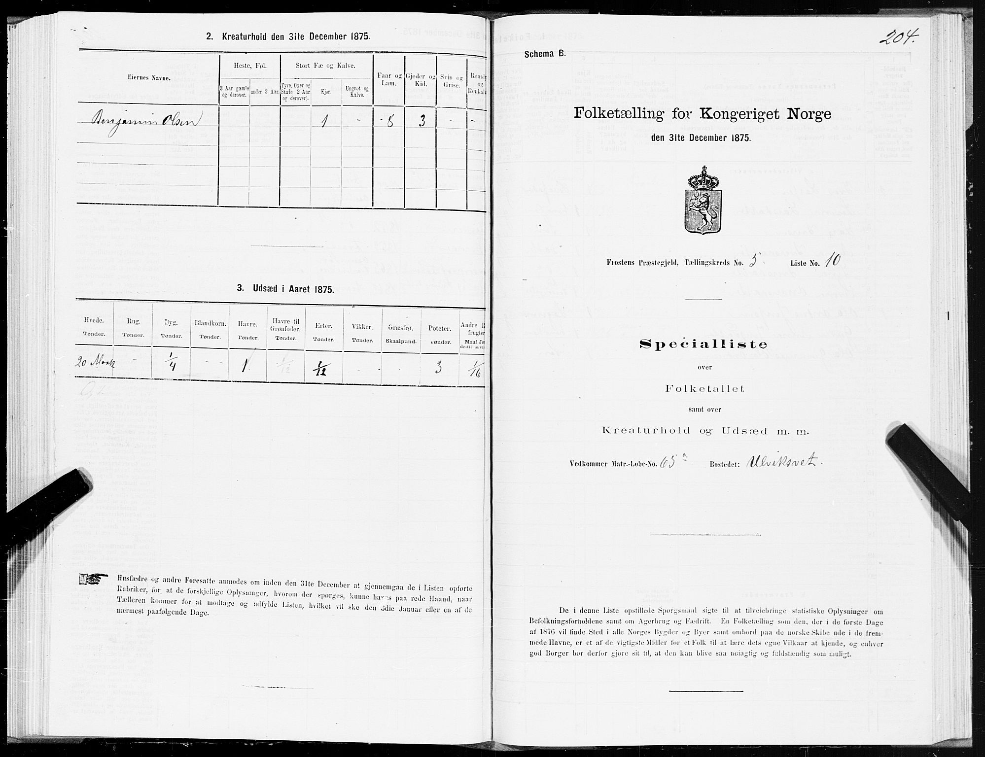 SAT, Folketelling 1875 for 1717P Frosta prestegjeld, 1875, s. 4204