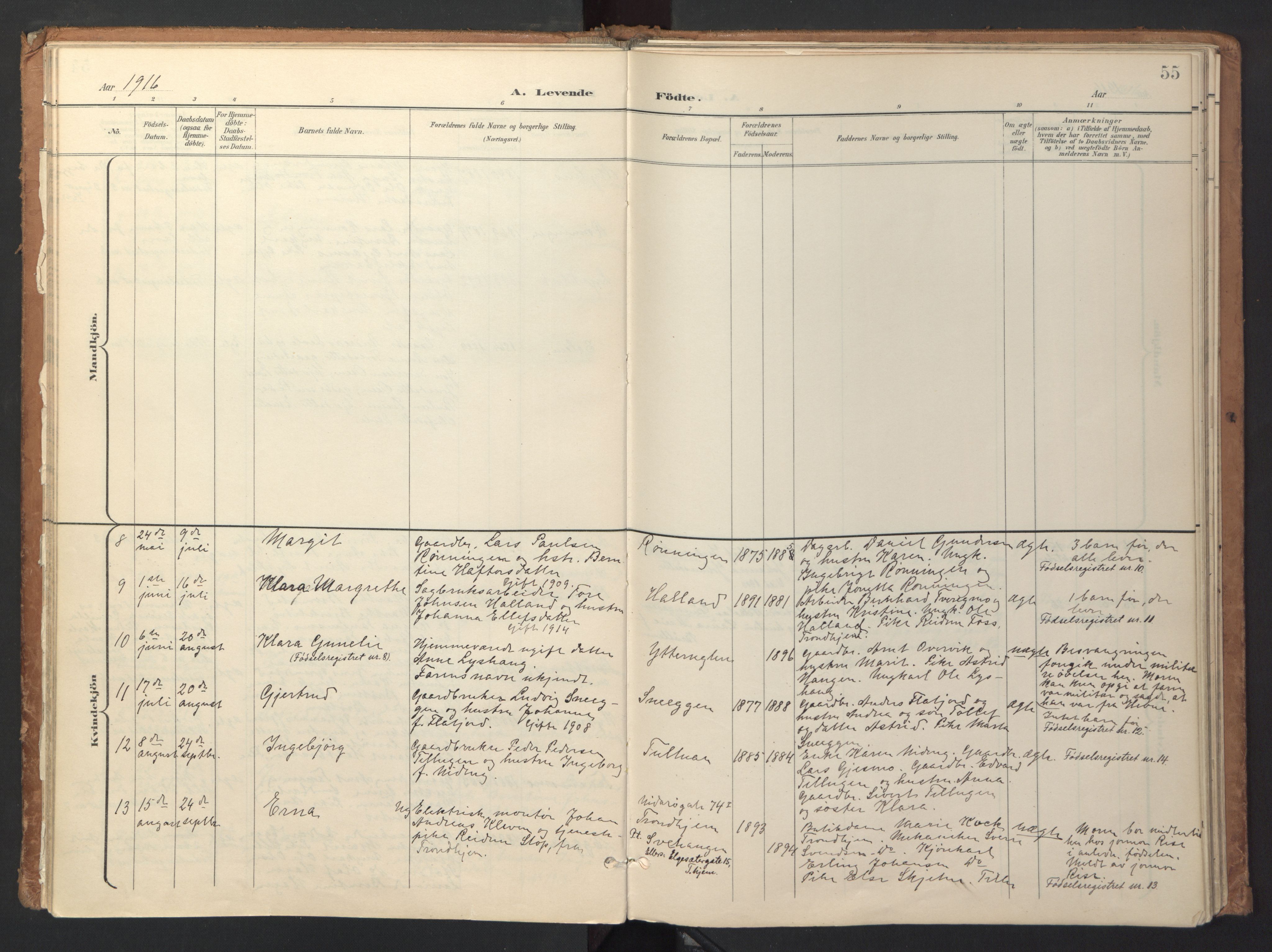 Ministerialprotokoller, klokkerbøker og fødselsregistre - Sør-Trøndelag, SAT/A-1456/618/L0448: Ministerialbok nr. 618A11, 1898-1916, s. 55
