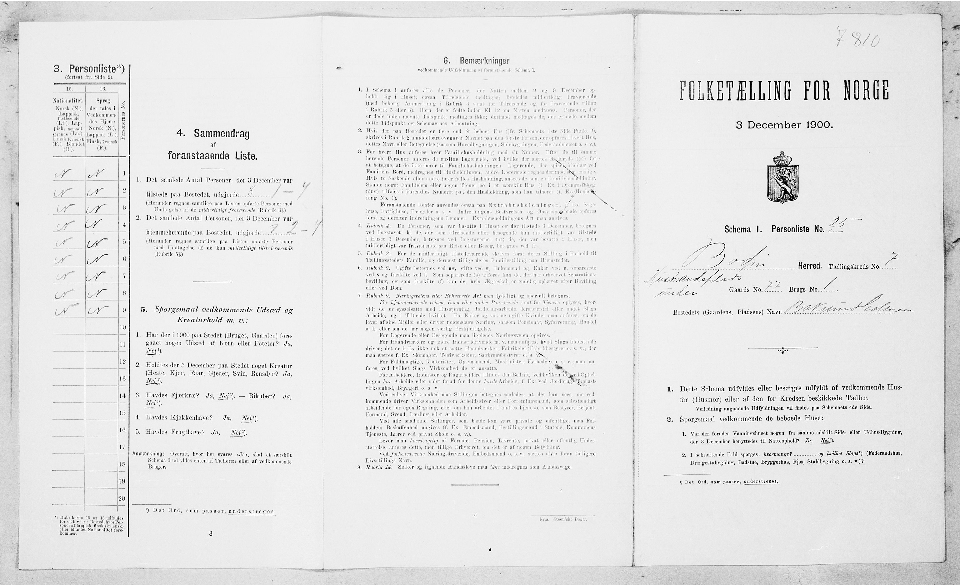 SAT, Folketelling 1900 for 1843 Bodin herred, 1900, s. 1064