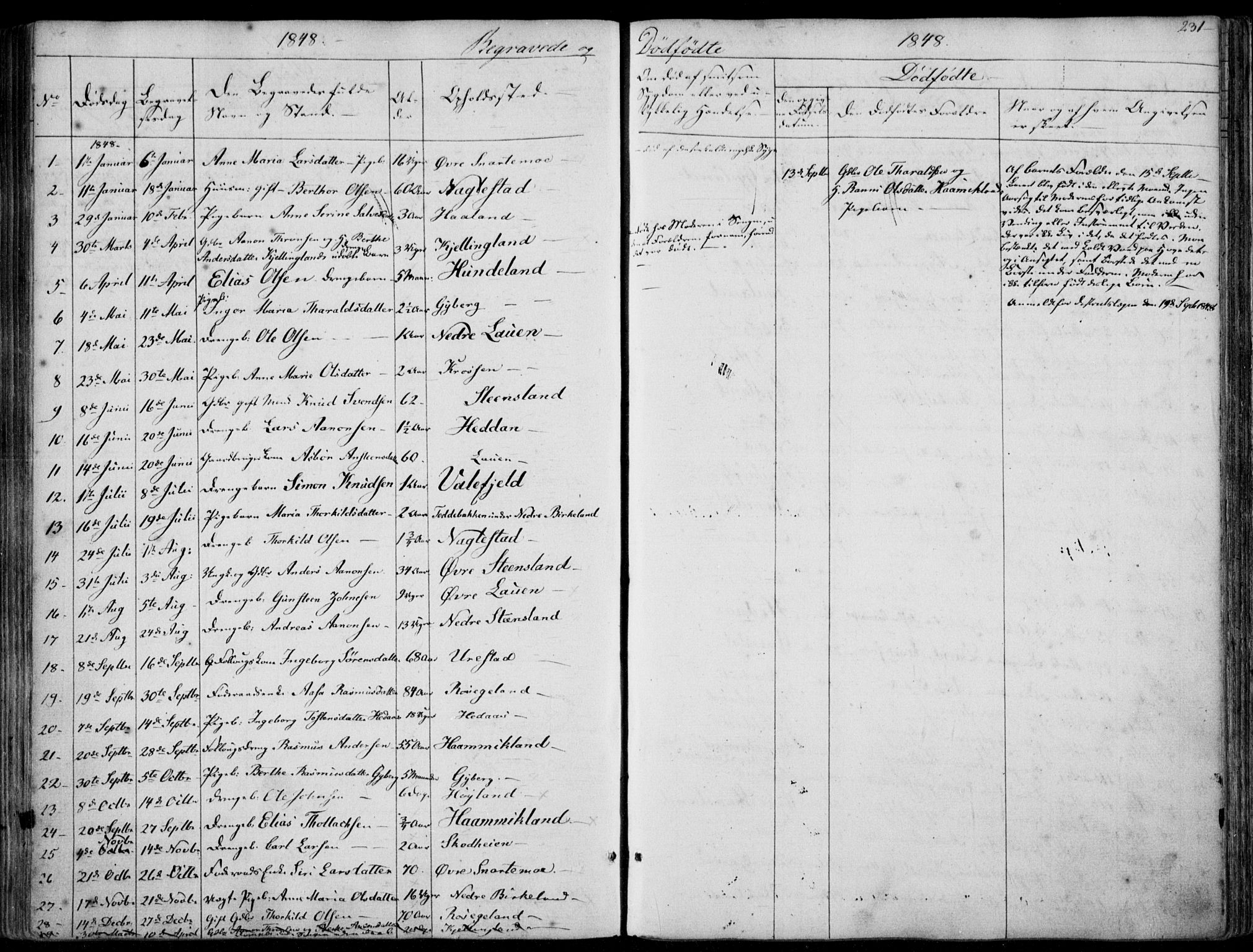 Hægebostad sokneprestkontor, SAK/1111-0024/F/Fa/Faa/L0004: Ministerialbok nr. A 4, 1834-1864, s. 231