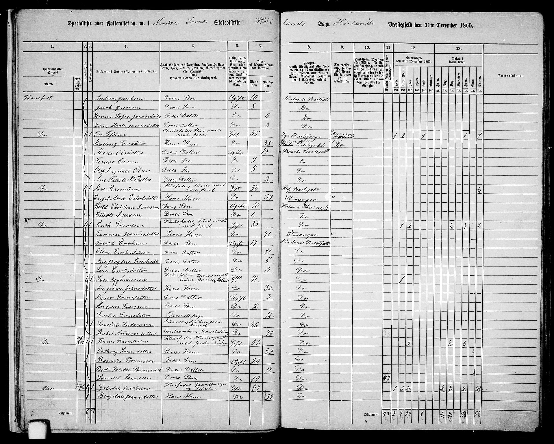 RA, Folketelling 1865 for 1123P Høyland prestegjeld, 1865, s. 16