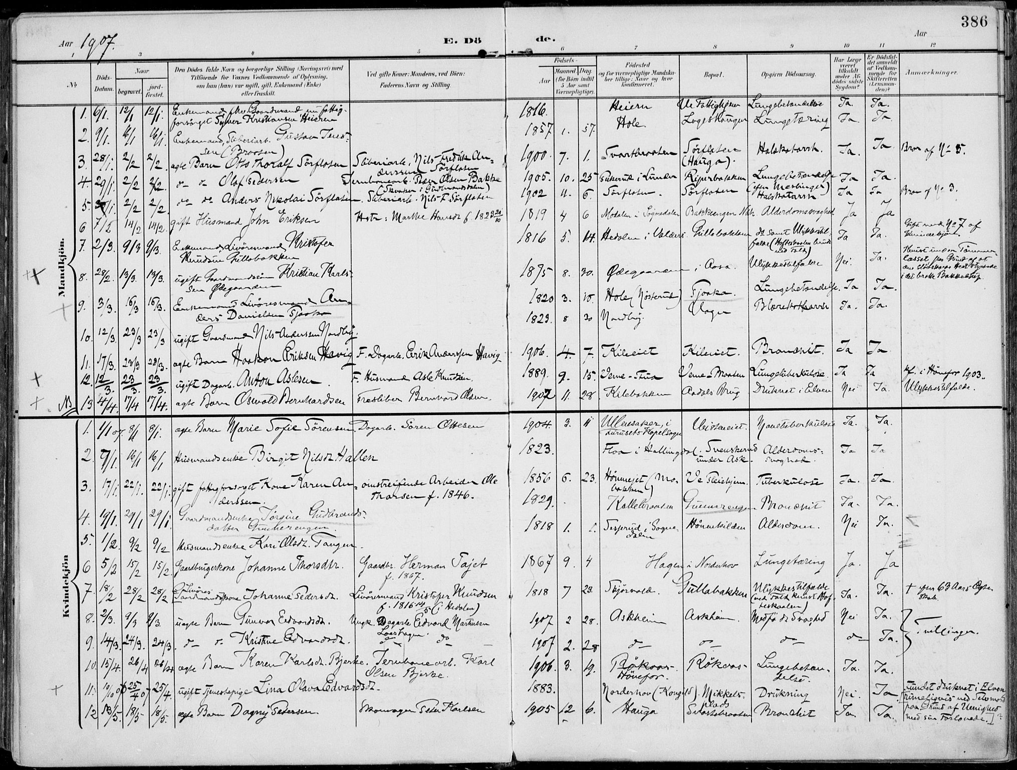 Norderhov kirkebøker, AV/SAKO-A-237/F/Fa/L0017: Ministerialbok nr. 17, 1903-1919, s. 386