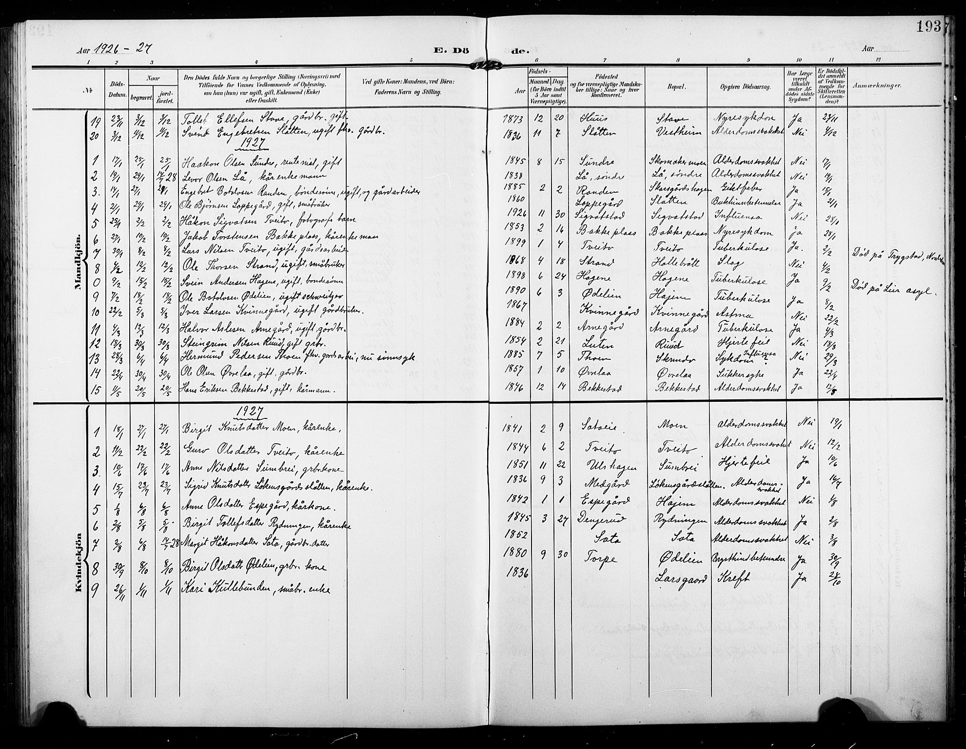 Ål kirkebøker, AV/SAKO-A-249/G/Ga/L0002: Klokkerbok nr. 2, 1904-1928, s. 193