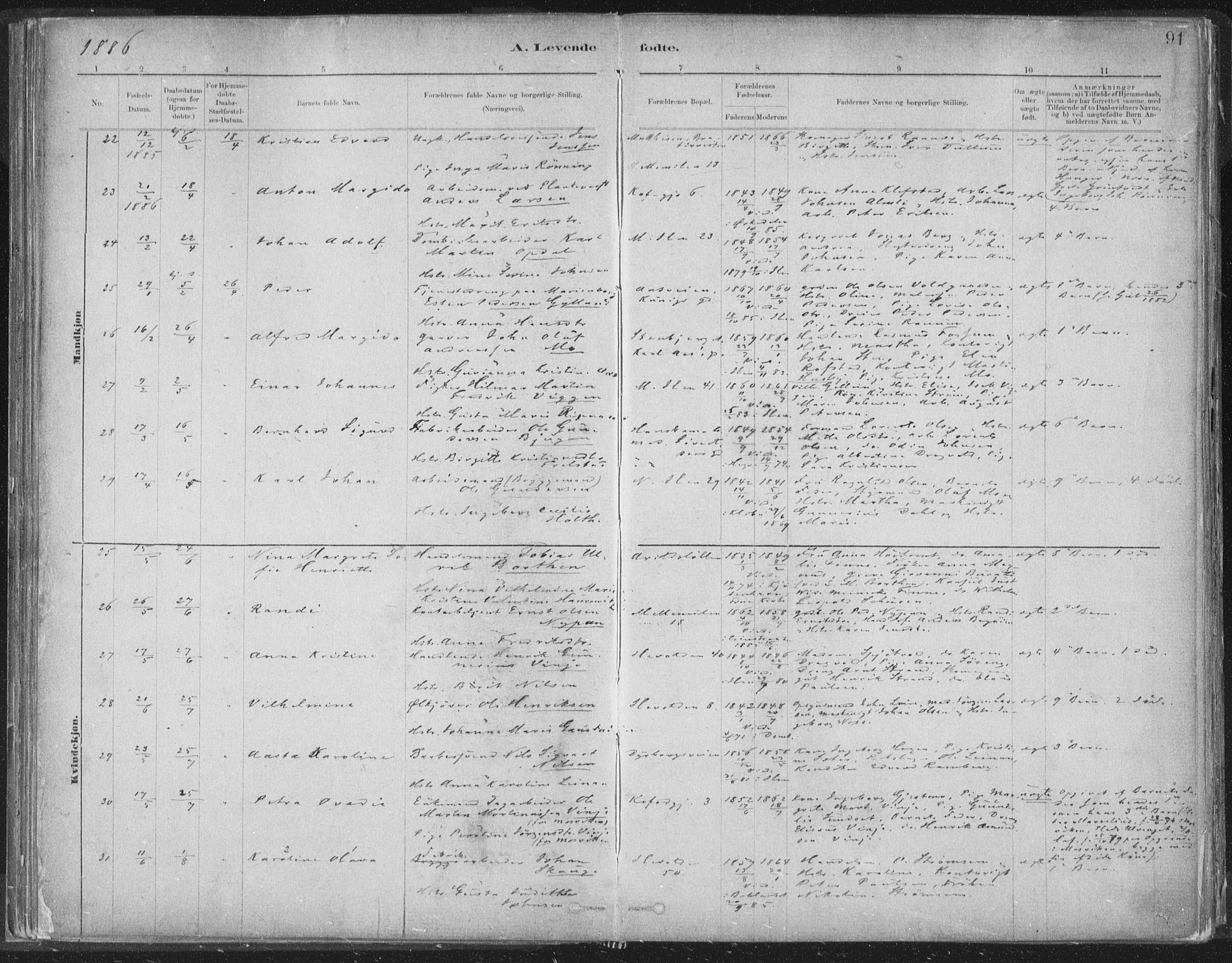 Ministerialprotokoller, klokkerbøker og fødselsregistre - Sør-Trøndelag, SAT/A-1456/603/L0162: Ministerialbok nr. 603A01, 1879-1895, s. 91