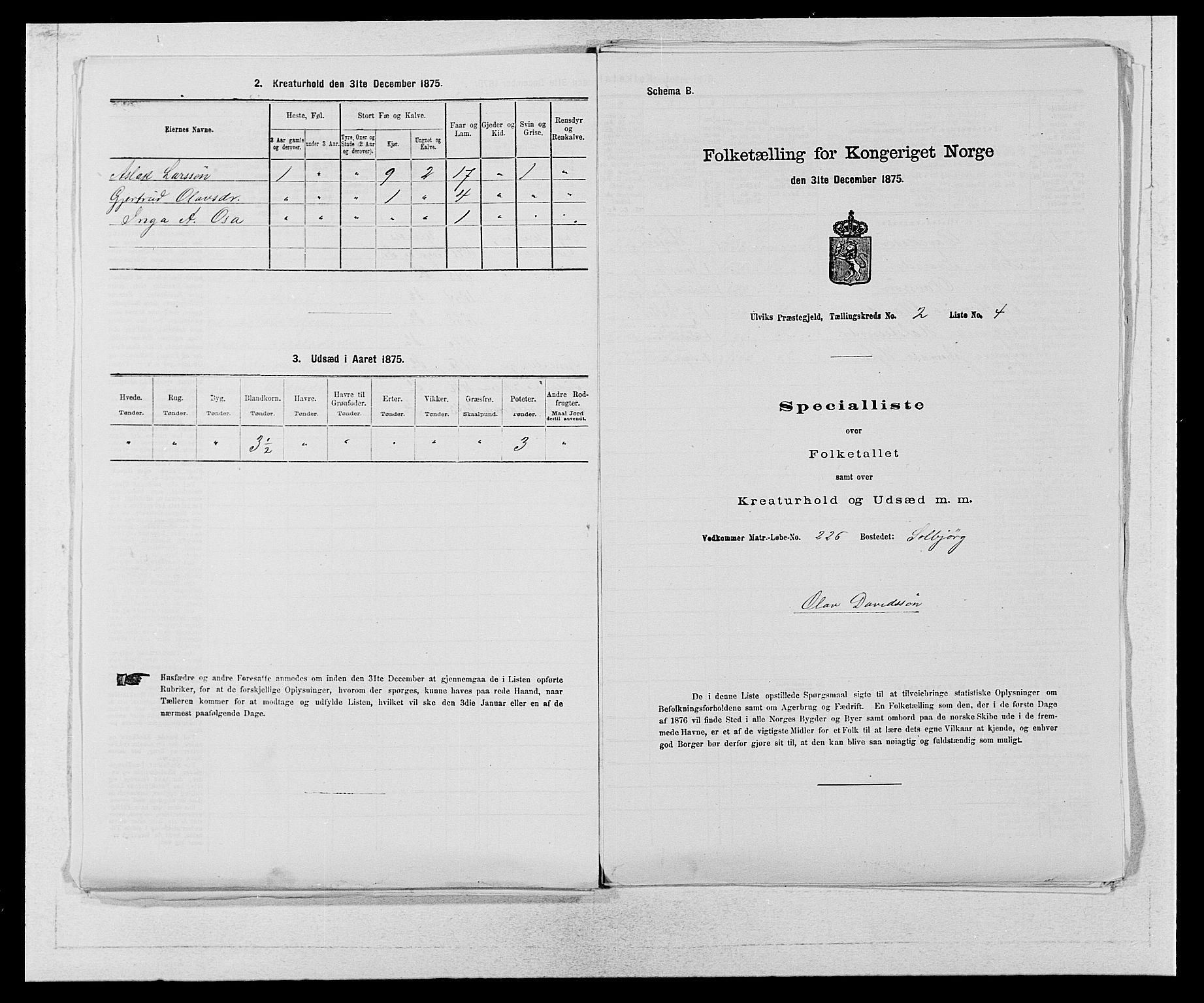 SAB, Folketelling 1875 for 1233P Ulvik prestegjeld, 1875, s. 309