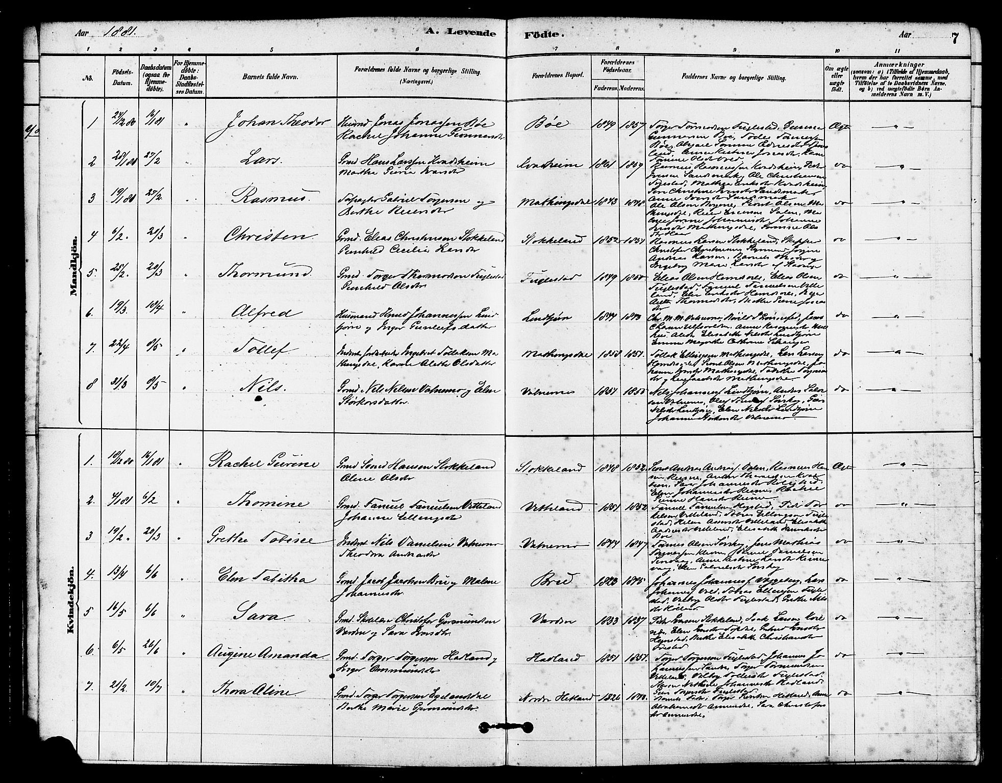 Eigersund sokneprestkontor, SAST/A-101807/S08/L0016: Ministerialbok nr. A 16, 1879-1893, s. 7