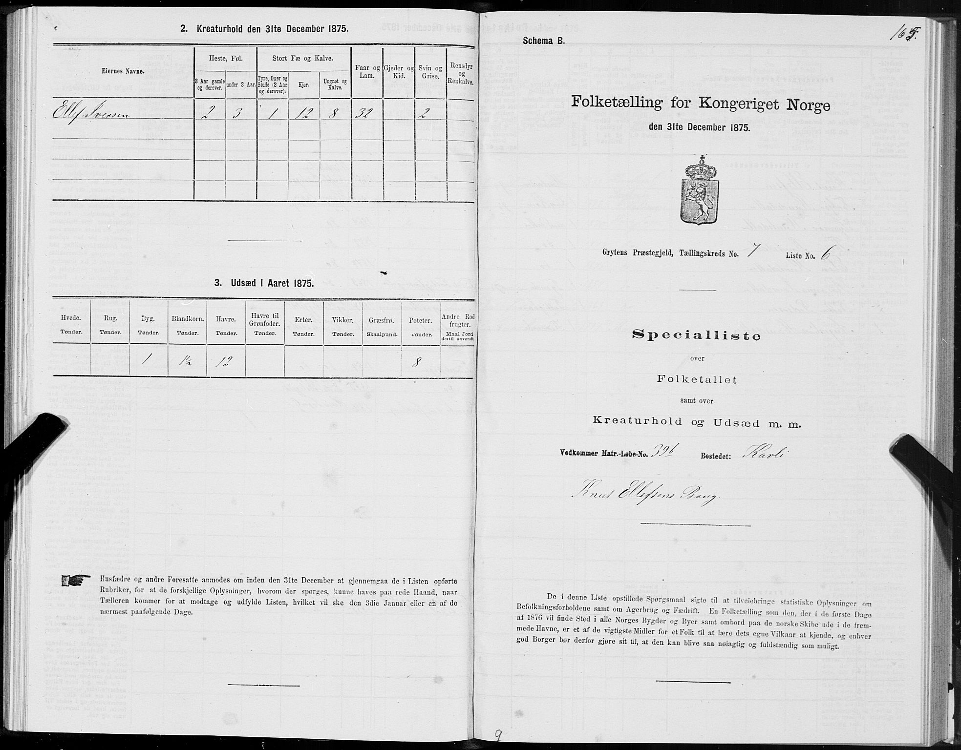 SAT, Folketelling 1875 for 1539P Grytten prestegjeld, 1875, s. 3165