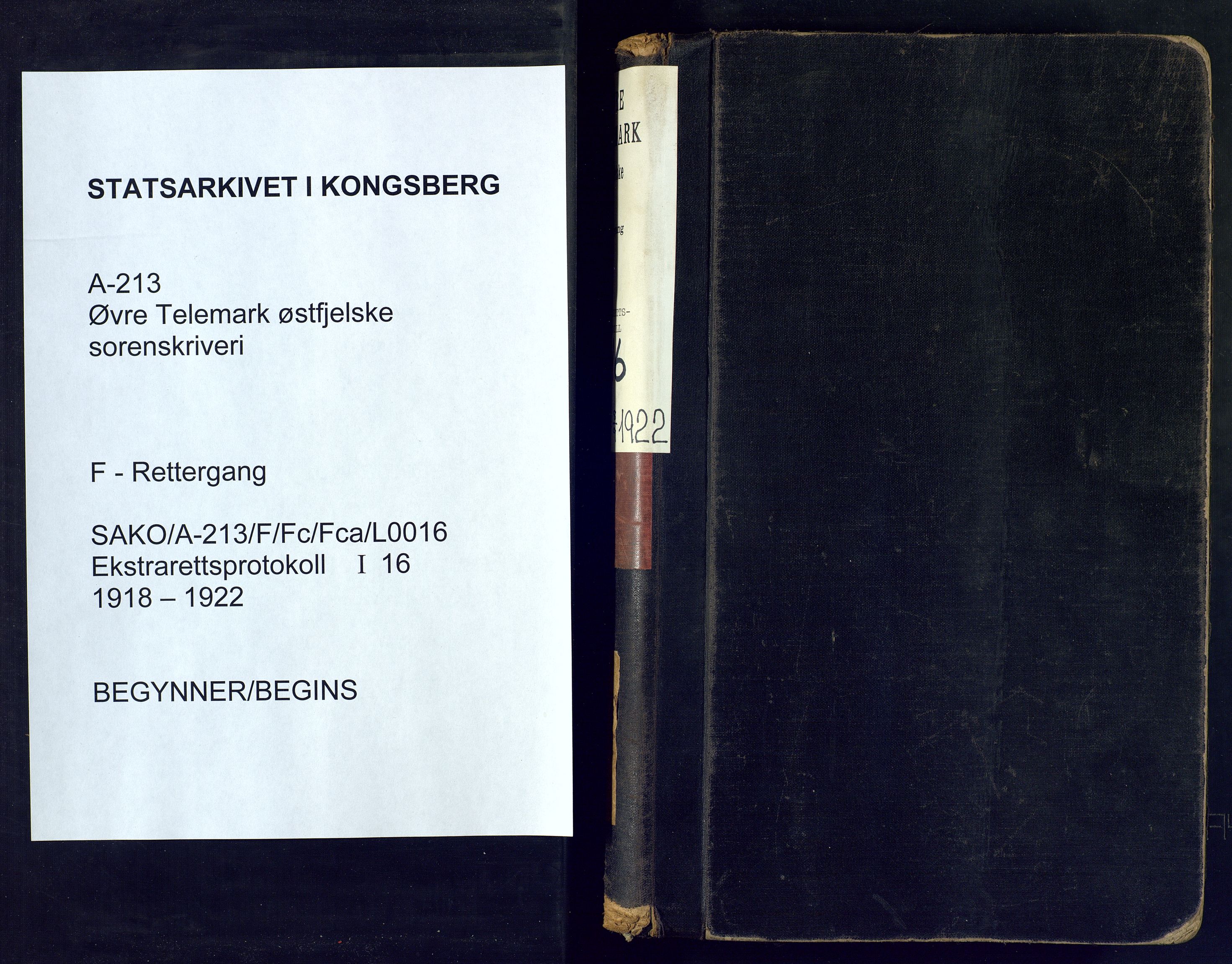 Øvre Telemark østfjelske sorenskriveri, SAKO/A-213/F/Fc/Fca/L0016: Ekstrarettsprotokoll, sivile saker, 1918-1922