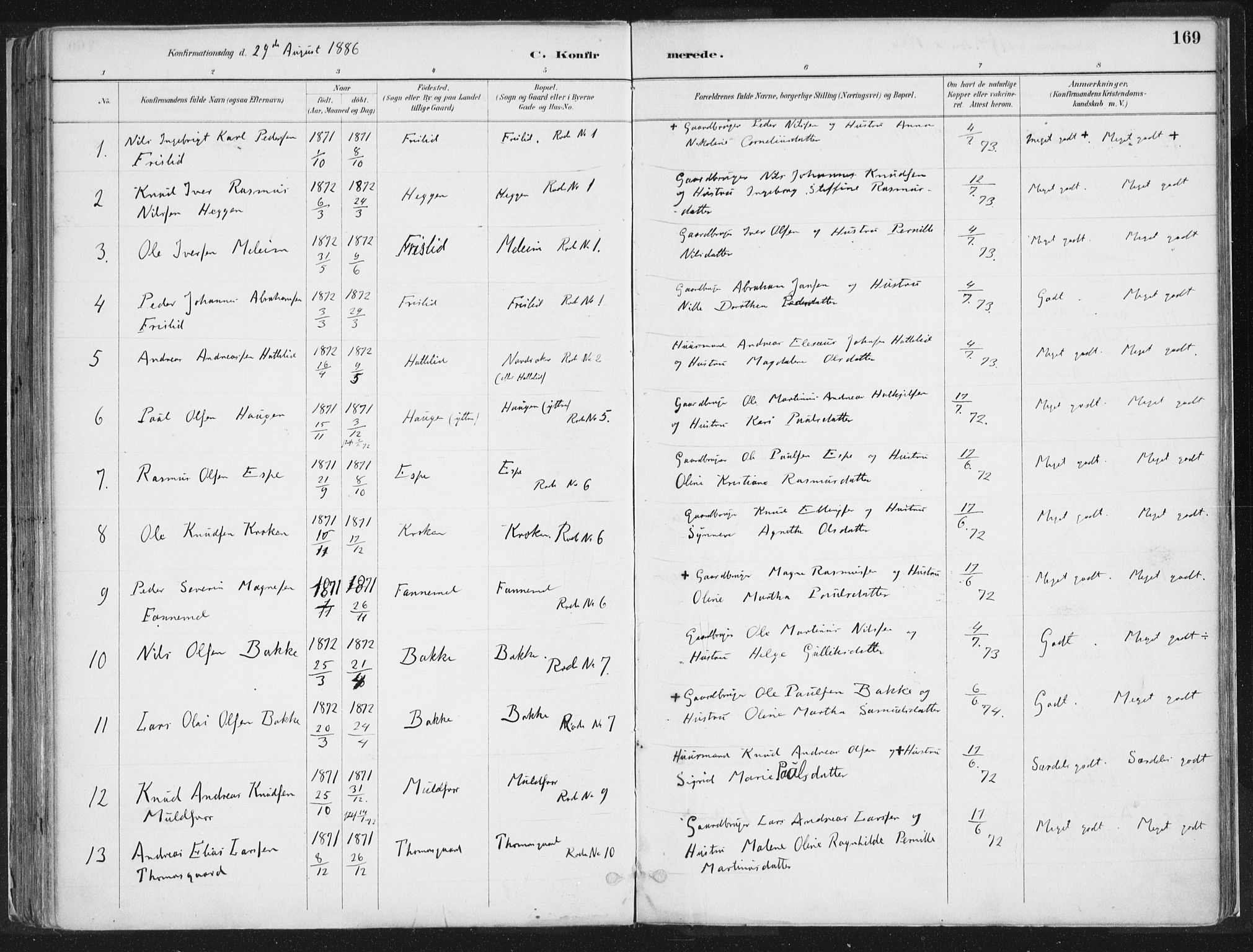 Hornindal sokneprestembete, SAB/A-82401/H/Haa/Haaa/L0003/0001: Ministerialbok nr. A 3A, 1887-1917, s. 169