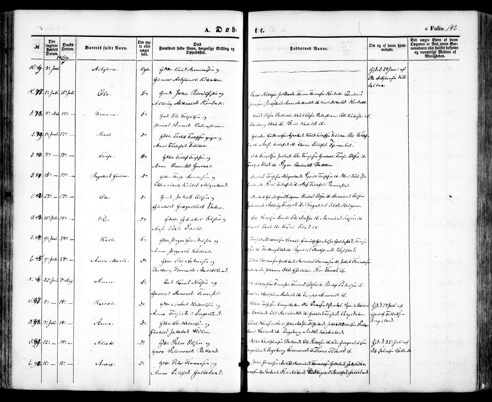 Evje sokneprestkontor, AV/SAK-1111-0008/F/Fa/Faa/L0005: Ministerialbok nr. A 5, 1843-1865, s. 142