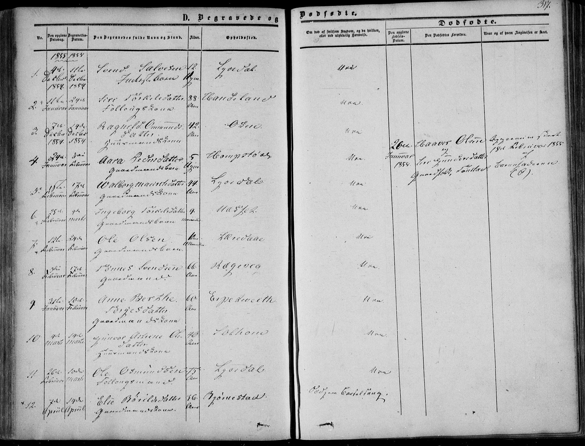 Sirdal sokneprestkontor, SAK/1111-0036/F/Fa/Fab/L0002: Ministerialbok nr. A 2, 1855-1874, s. 317