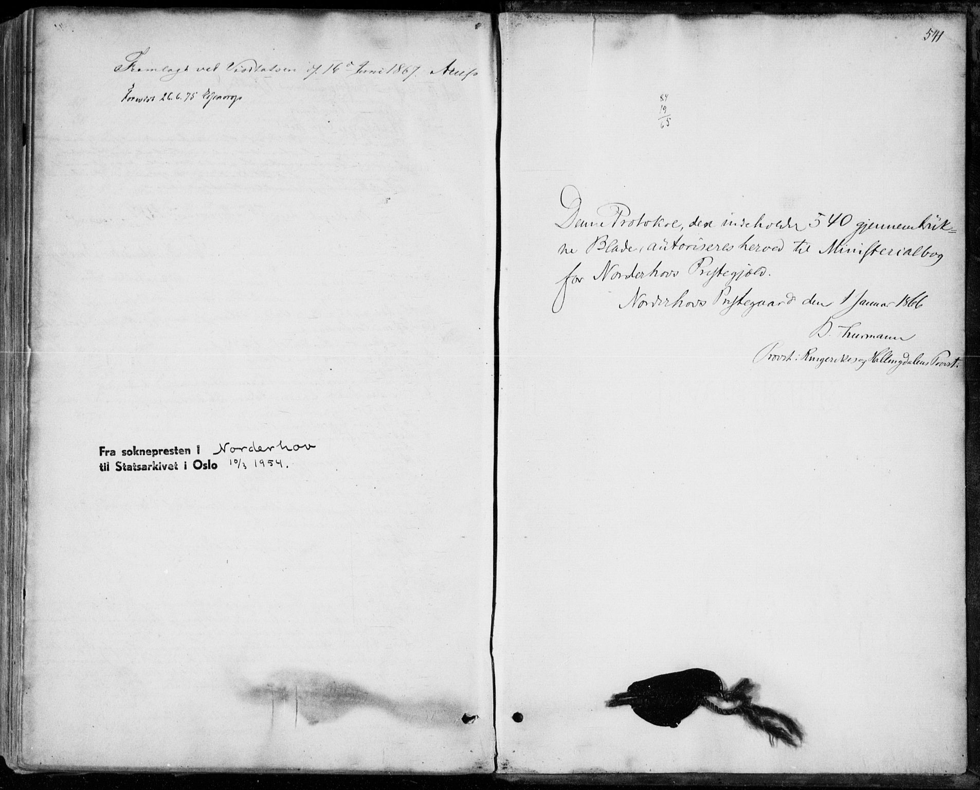Norderhov kirkebøker, SAKO/A-237/F/Fa/L0013: Ministerialbok nr. 13, 1866-1874, s. 541