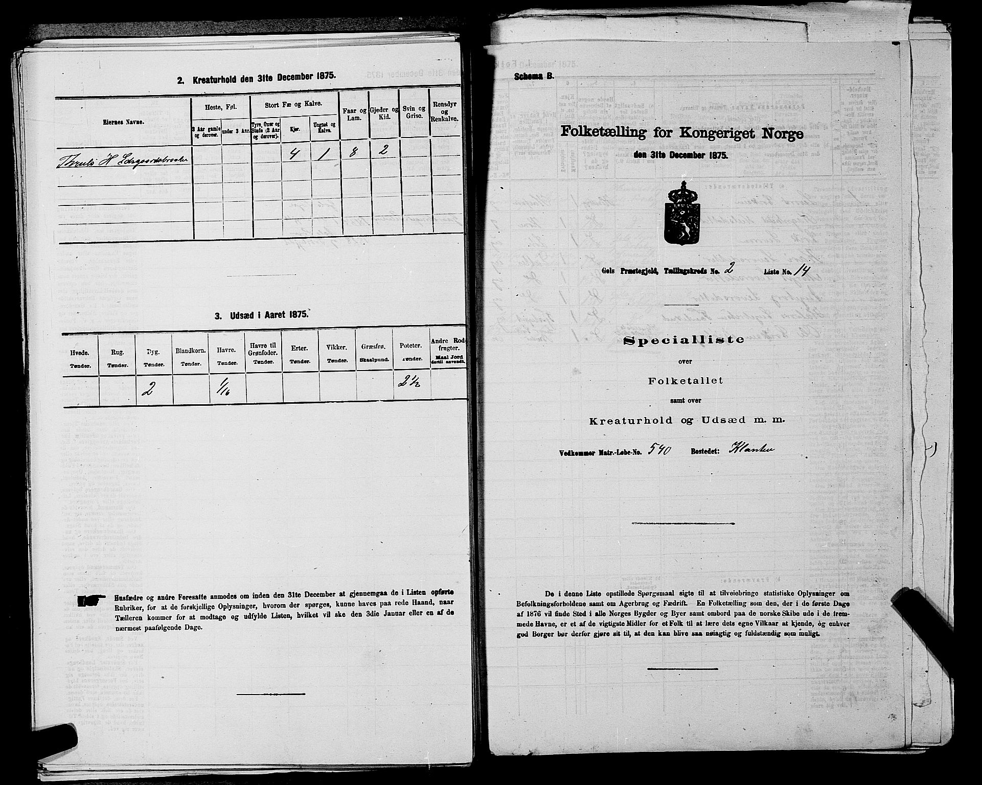 SAKO, Folketelling 1875 for 0617P Gol prestegjeld, 1875, s. 425