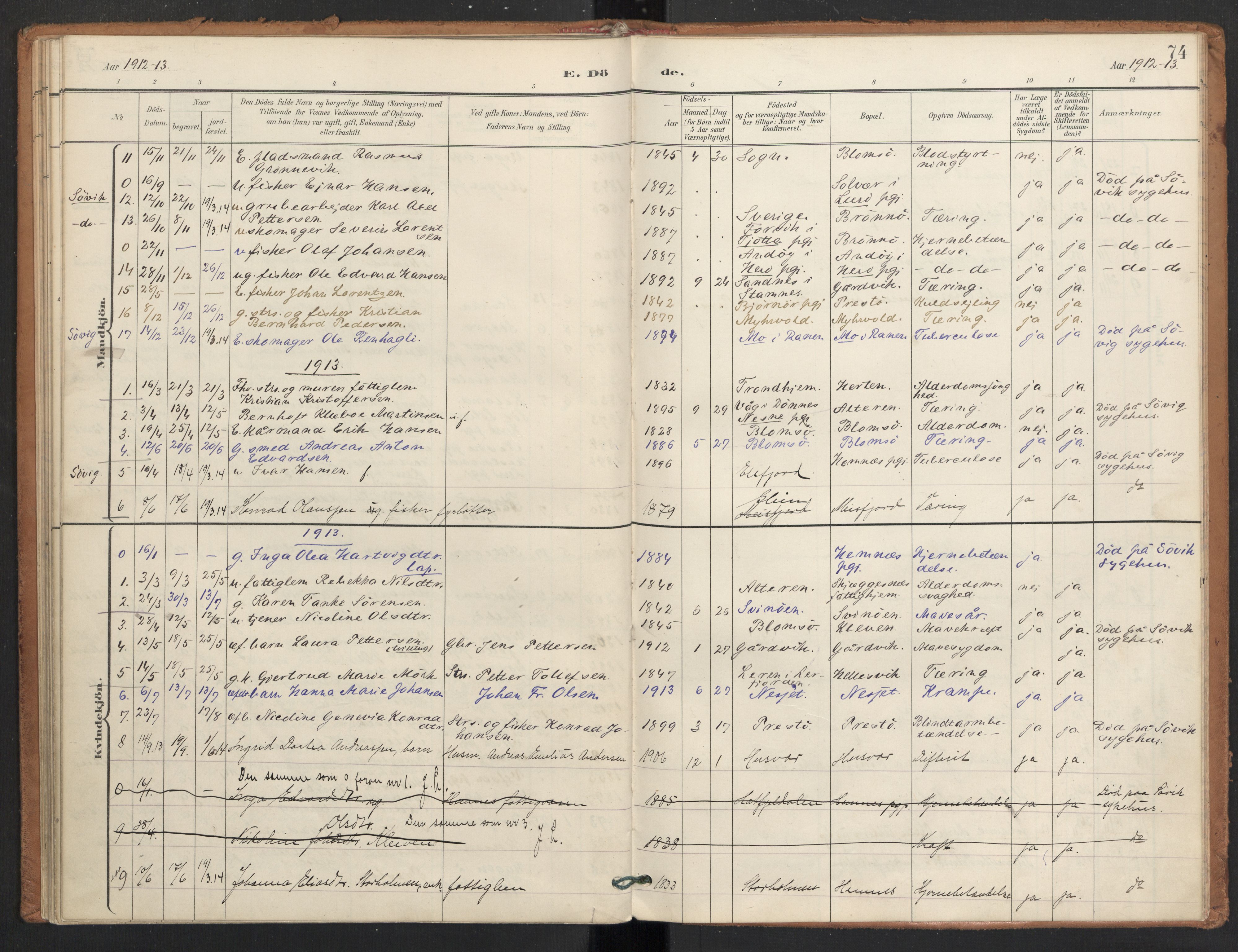 Ministerialprotokoller, klokkerbøker og fødselsregistre - Nordland, AV/SAT-A-1459/830/L0454: Ministerialbok nr. 830A18, 1897-1913, s. 74