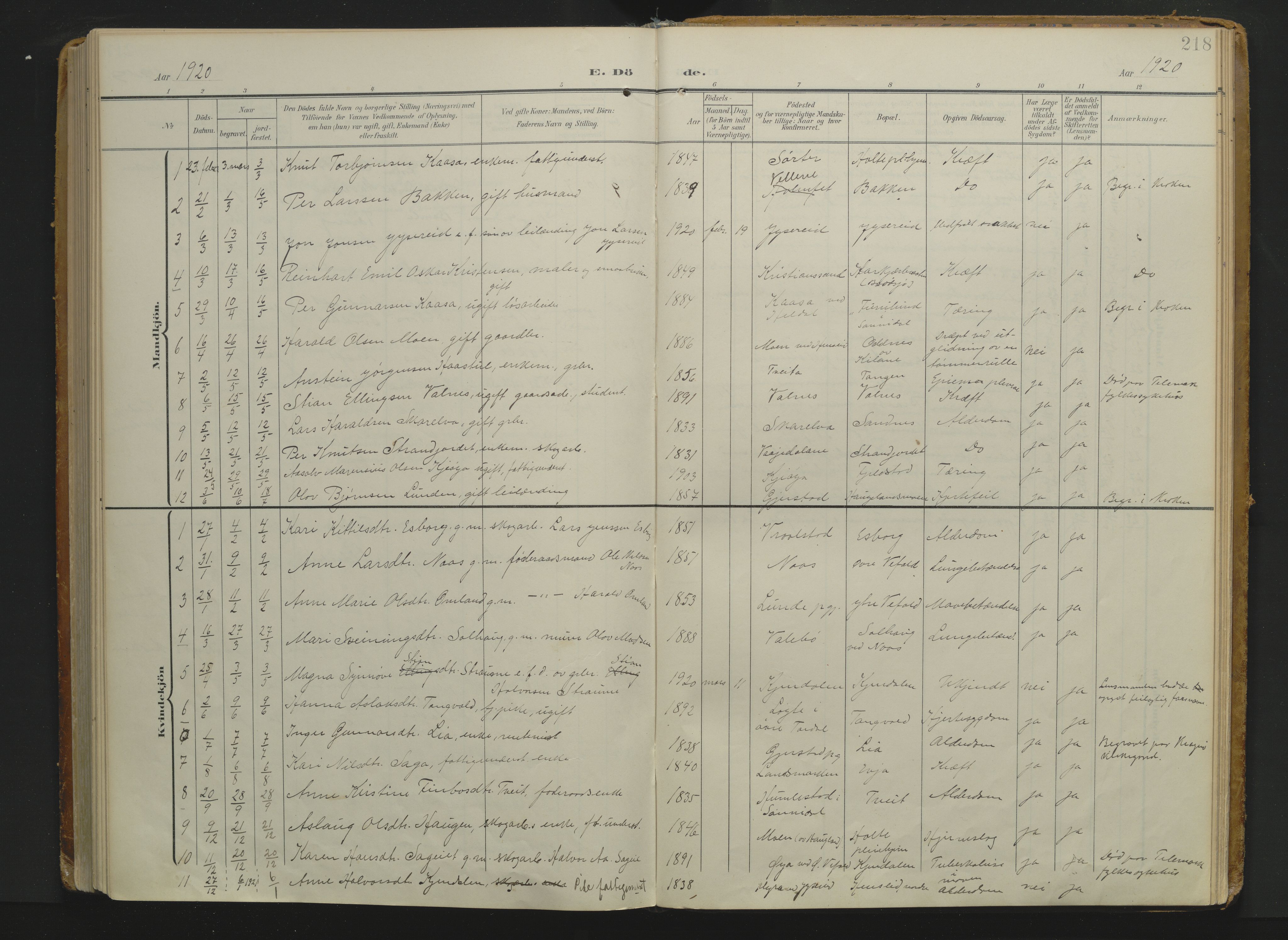 Drangedal kirkebøker, AV/SAKO-A-258/F/Fa/L0014: Ministerialbok nr. 14, 1906-1920, s. 218