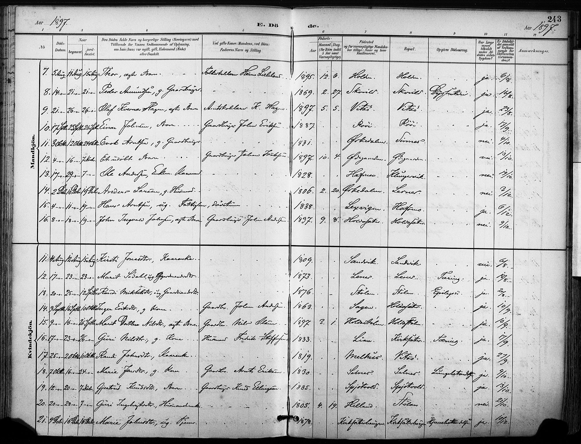 Ministerialprotokoller, klokkerbøker og fødselsregistre - Sør-Trøndelag, SAT/A-1456/630/L0497: Ministerialbok nr. 630A10, 1896-1910, s. 243