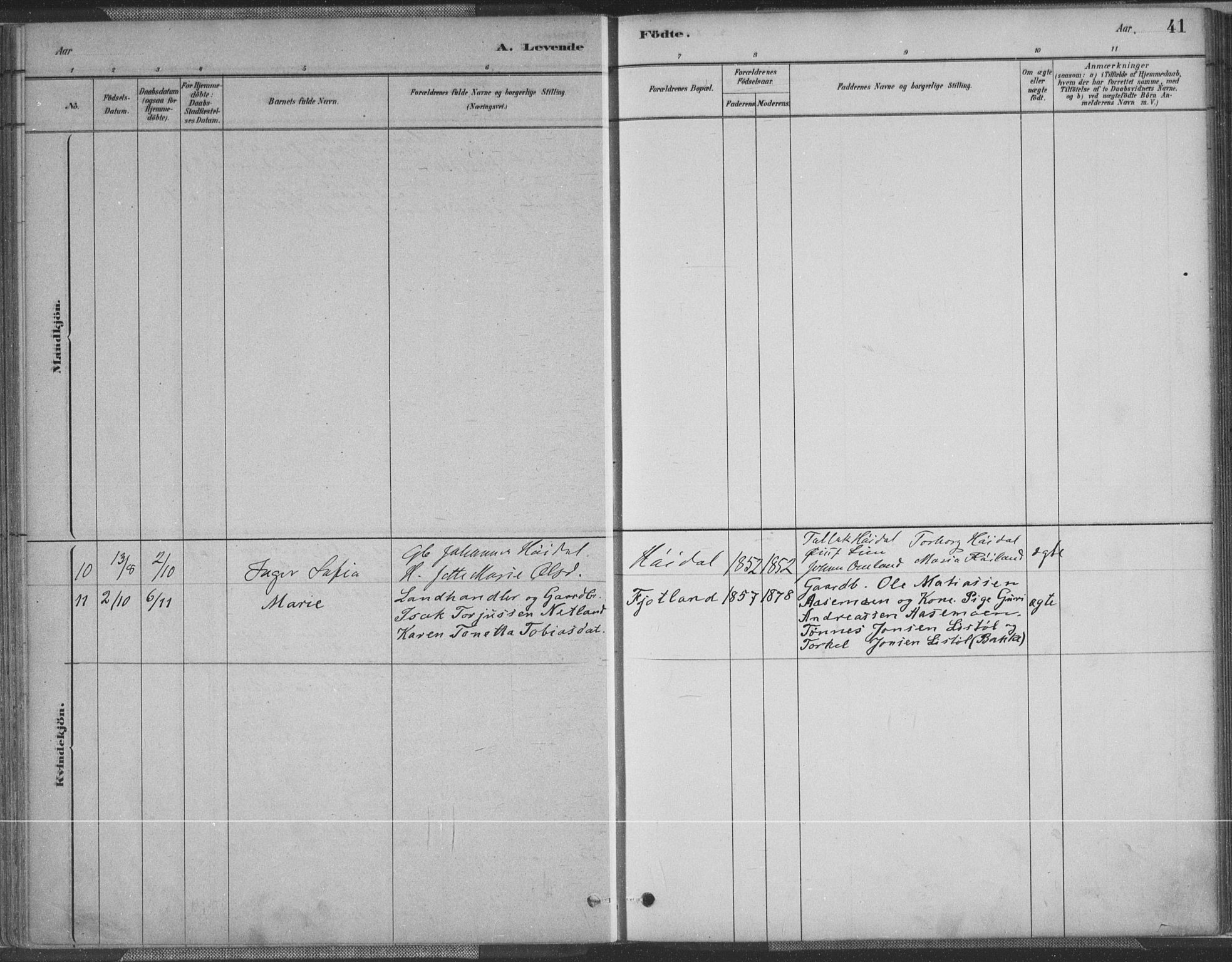 Fjotland sokneprestkontor, AV/SAK-1111-0010/F/Fa/L0002: Ministerialbok nr. A 2, 1880-1898, s. 41